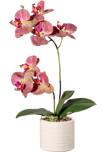 Kunstorchidee »Orchidee Phalaenopsis in Keramiktopf«, mit Real-Touch-Blüten