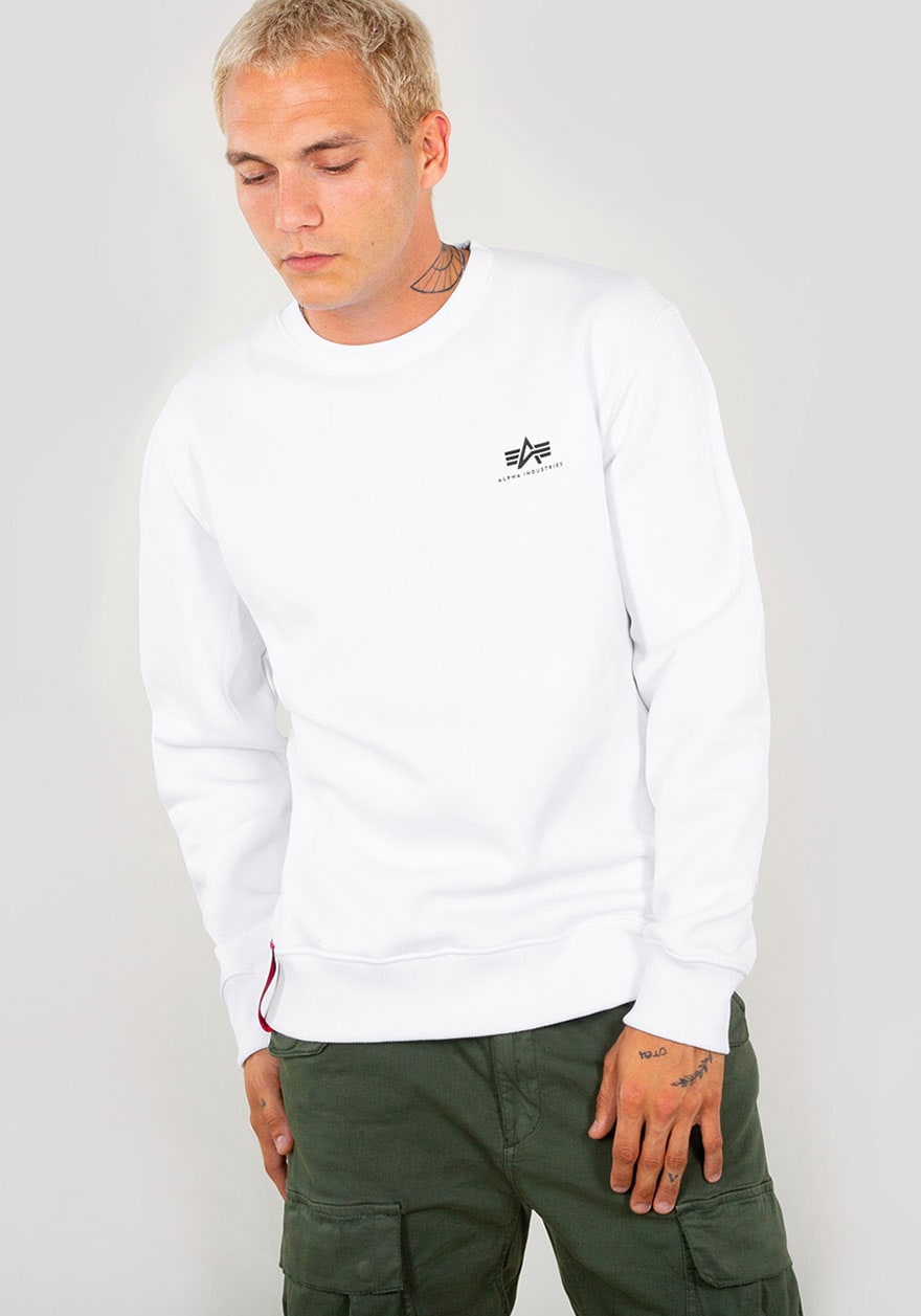 Sweatshirt »Basic Sweater small Logo«
