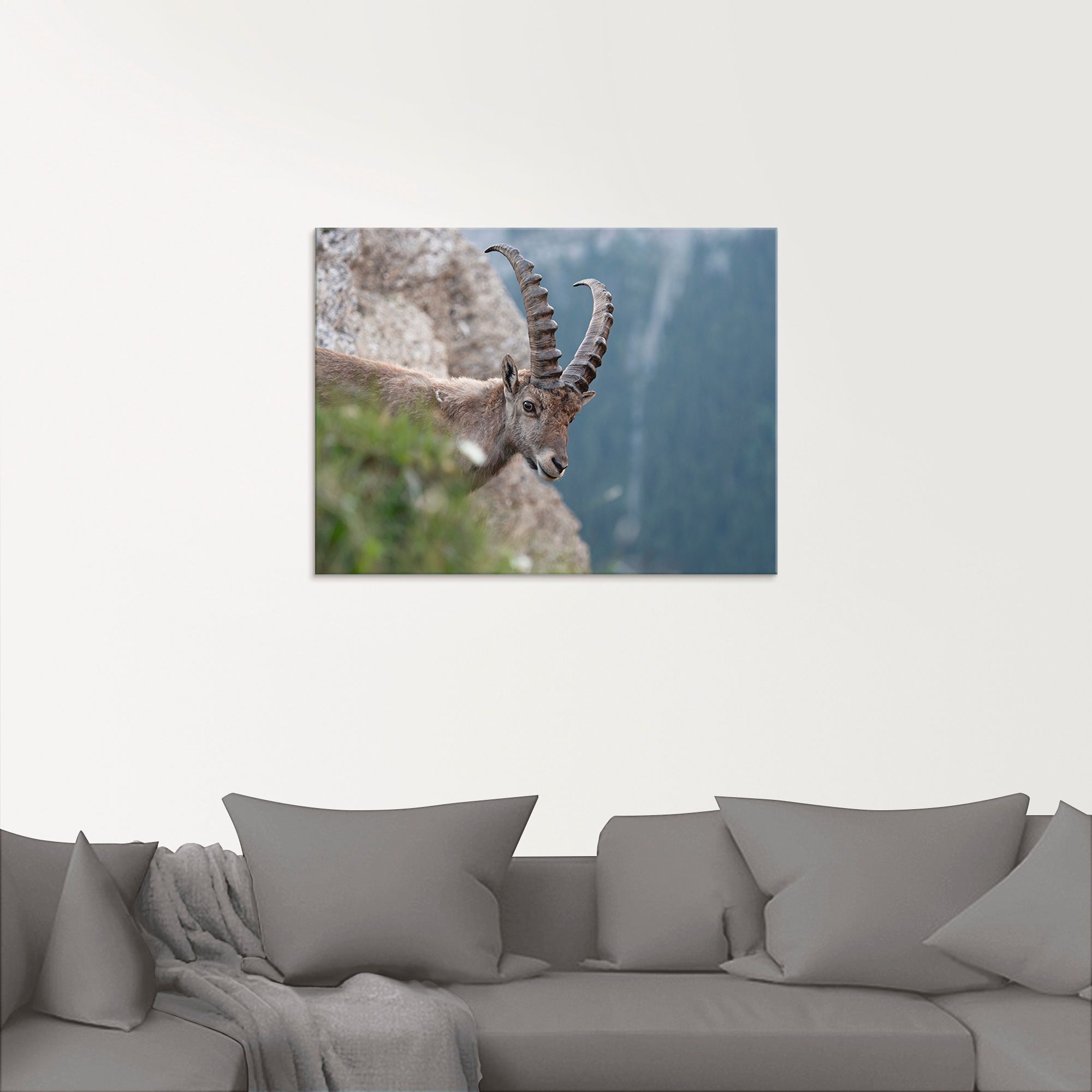 Artland Glasbild »Steinbock«, Wildtiere, (1 St.), in verschiedenen Größen