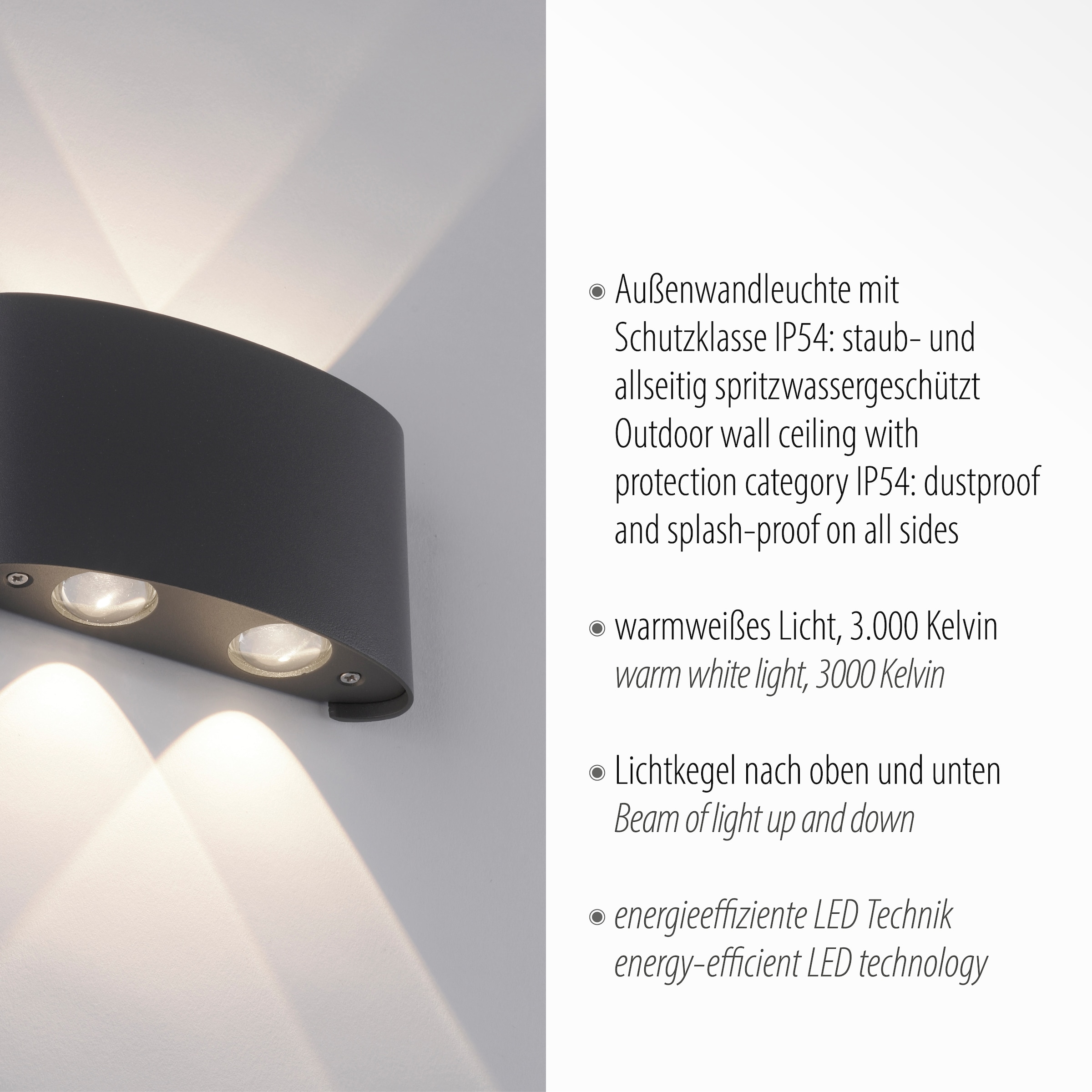 Paul Neuhaus Außen-Wandleuchte »CARLO«, 4 flammig, Leuchtmittel LED-Board | LED fest integriert, LED, IP54, IP54