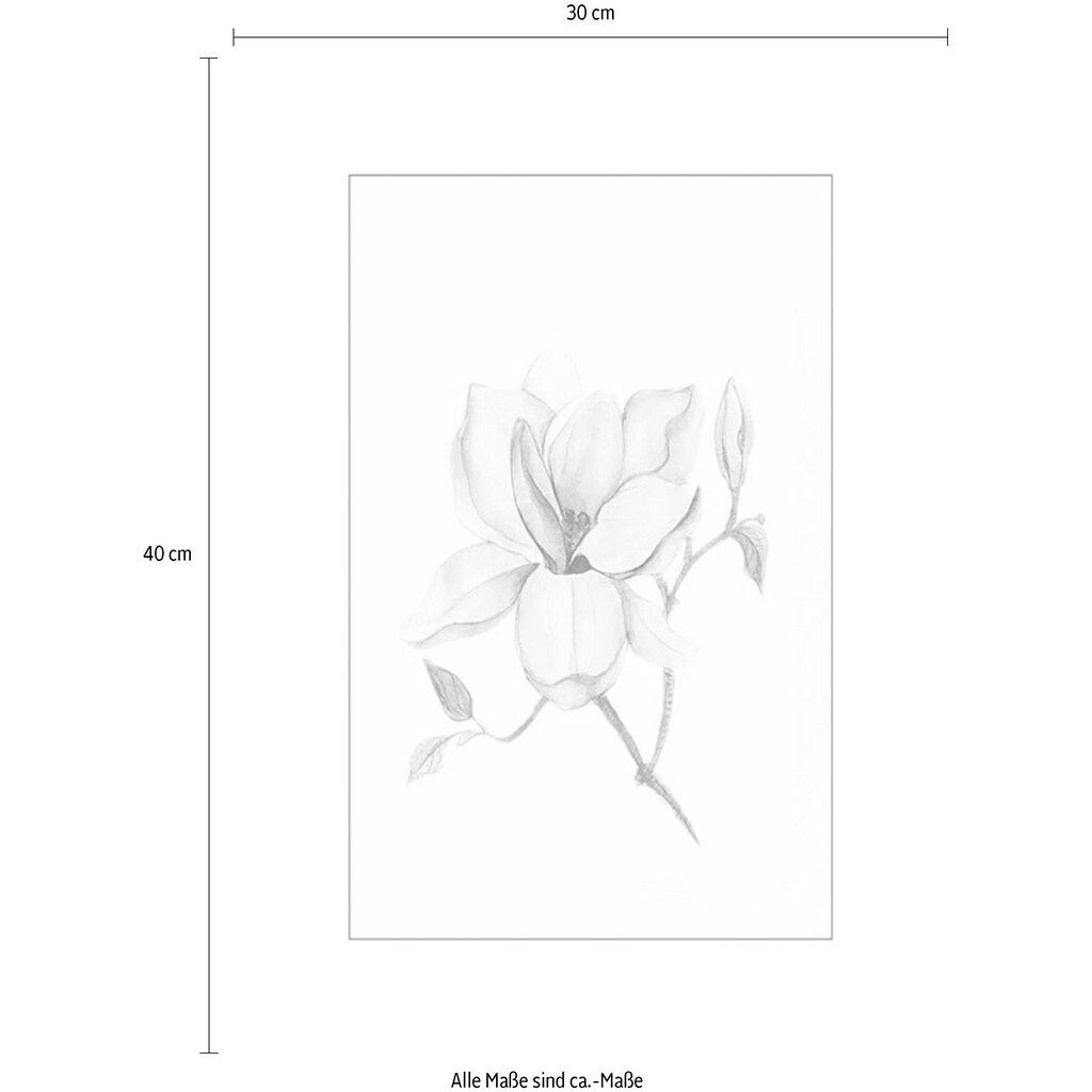 Komar Poster »Magnolia Shine«, Pflanzen-Blätter, (1 St.)