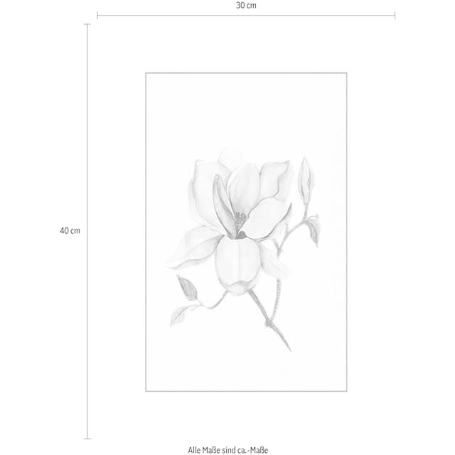 Komar Poster »Magnolia Shine«, Pflanzen-Blätter, (1 St.), Kinderzimmer,  Schlafzimmer, Wohnzimmer bei OTTO