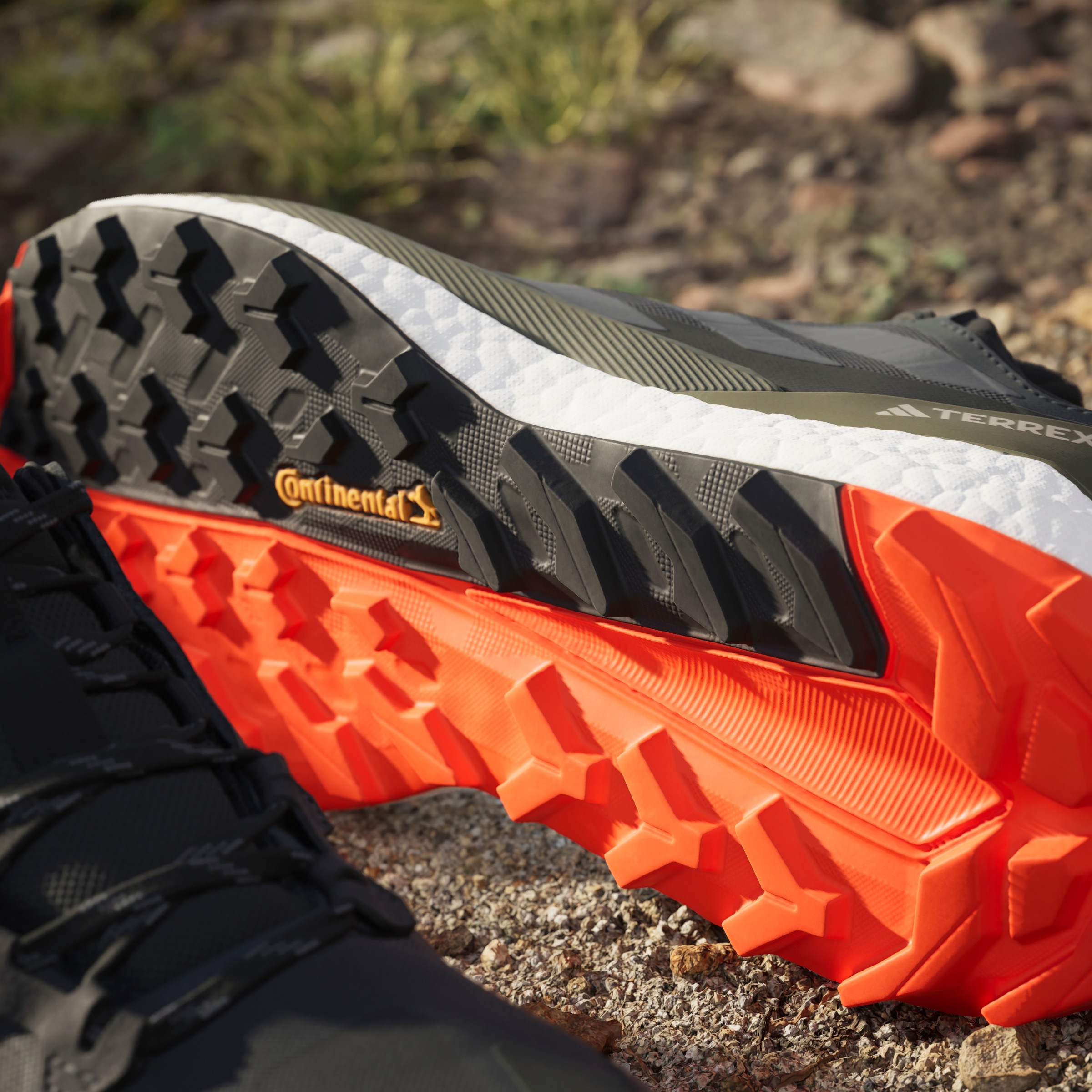 adidas TERREX Wanderschuh »TERREX FREE HIKER 2.0 LOW«