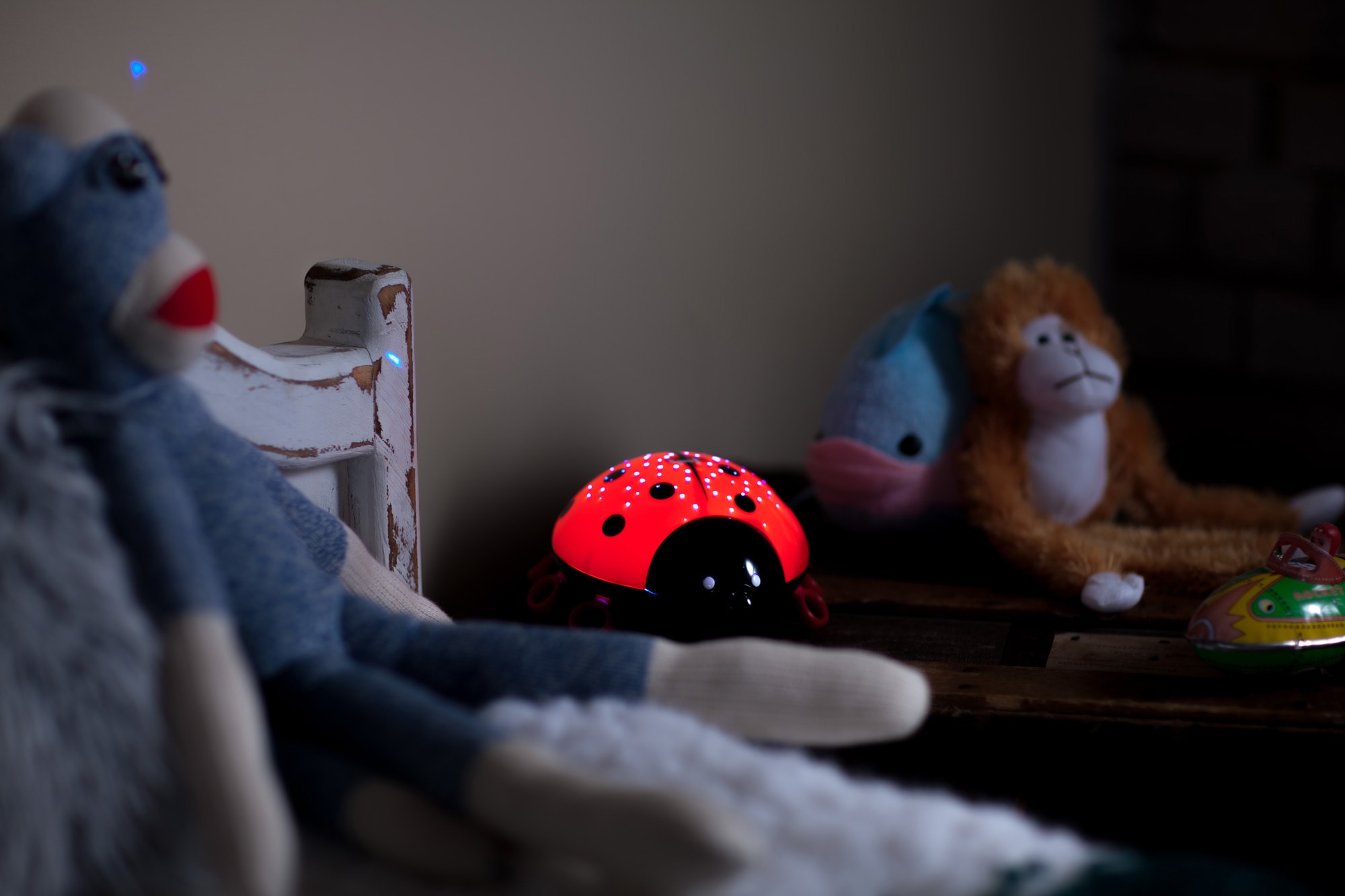 niermann LED Nachtlicht »Beetlestar«, 1 Beetlestar flammig-flammig, OTTO online bei Nachtlicht