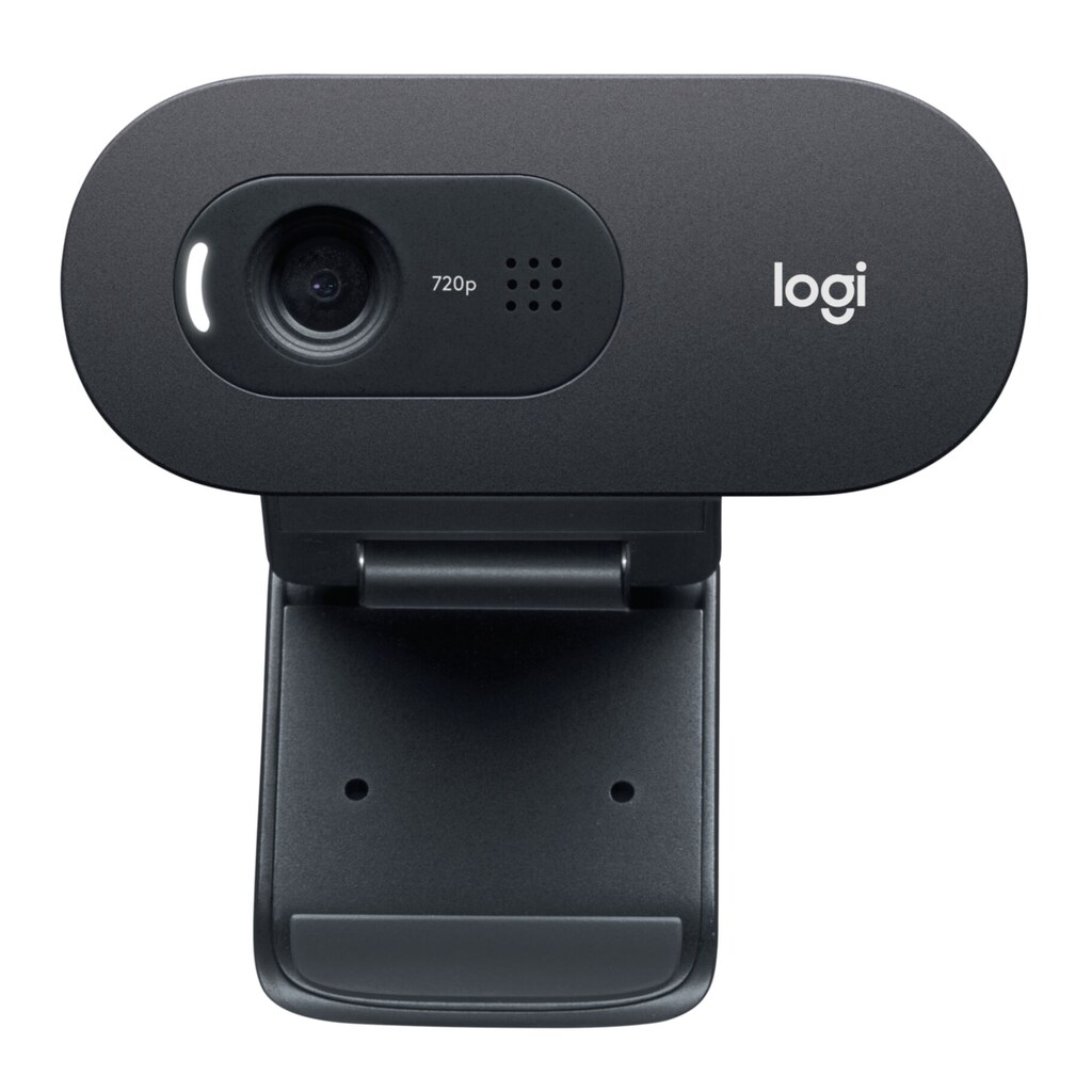 Logitech Webcam »C505e«