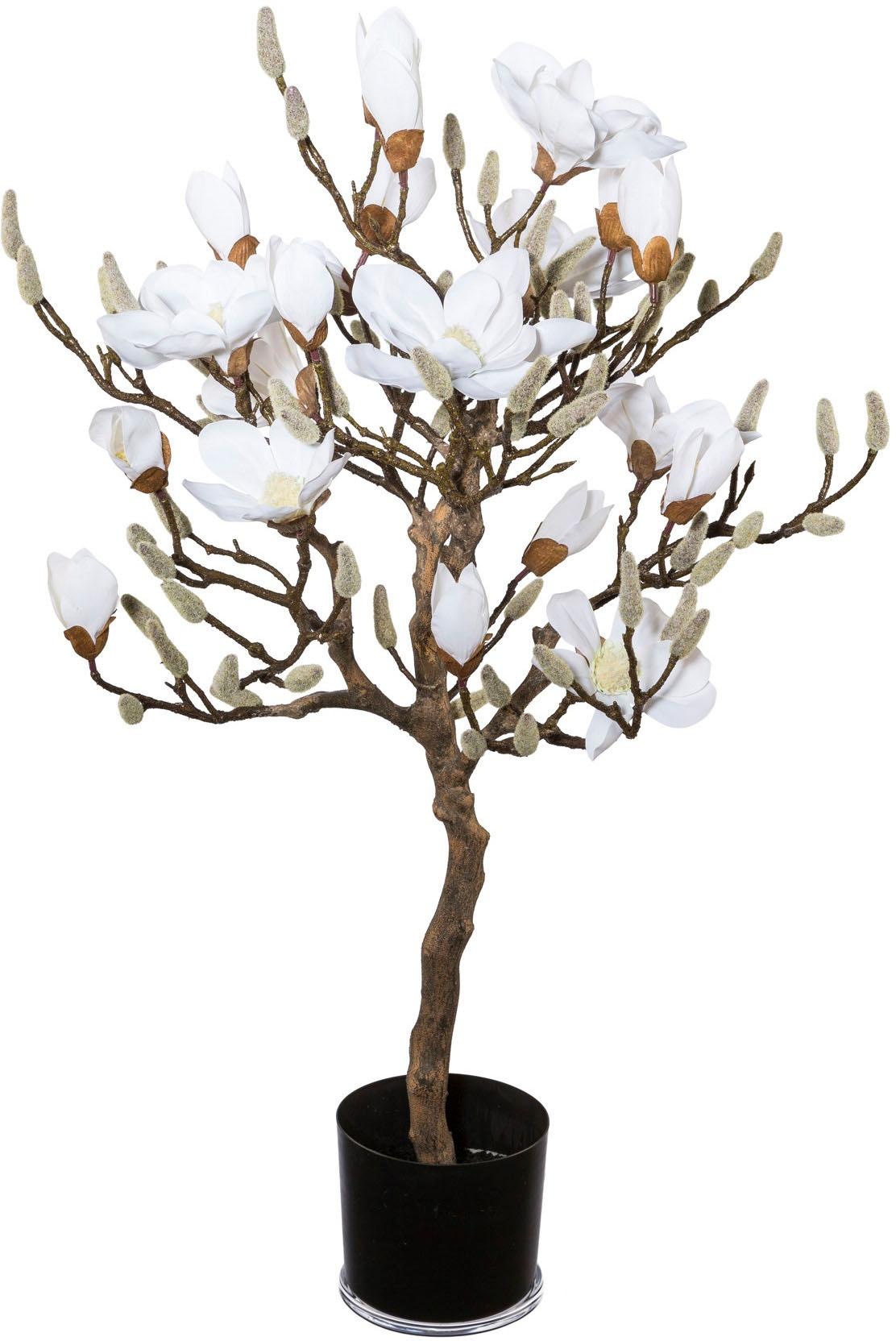 Creativ Green Kunstpflanze »Magnolienbaum« in weiß, Größe B/H/L: 94 cm