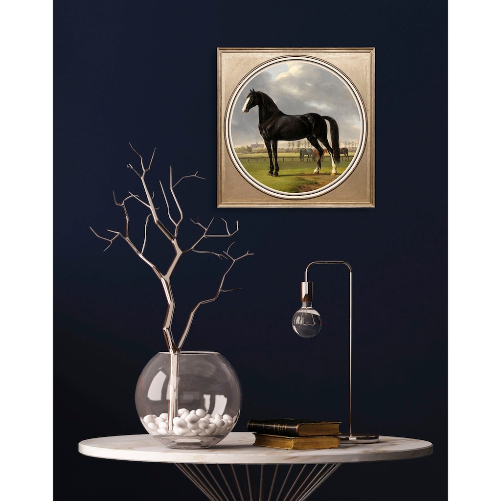 queence Acrylglasbild »Pferd«