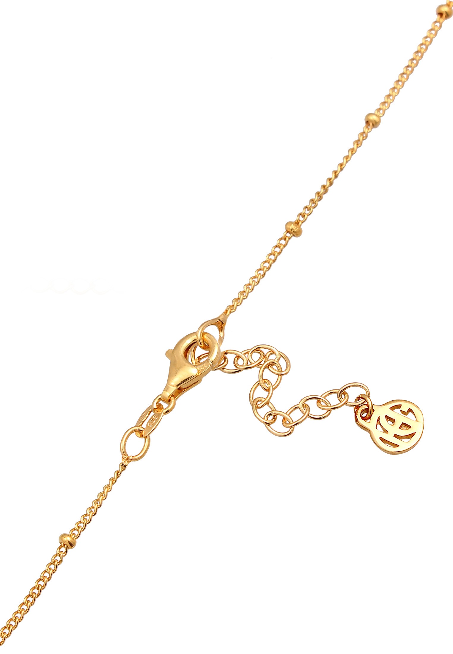 HAZE & GLORY Kette mit Anhänger »Halskette Anhänger Gans - Ra 925 Silber«