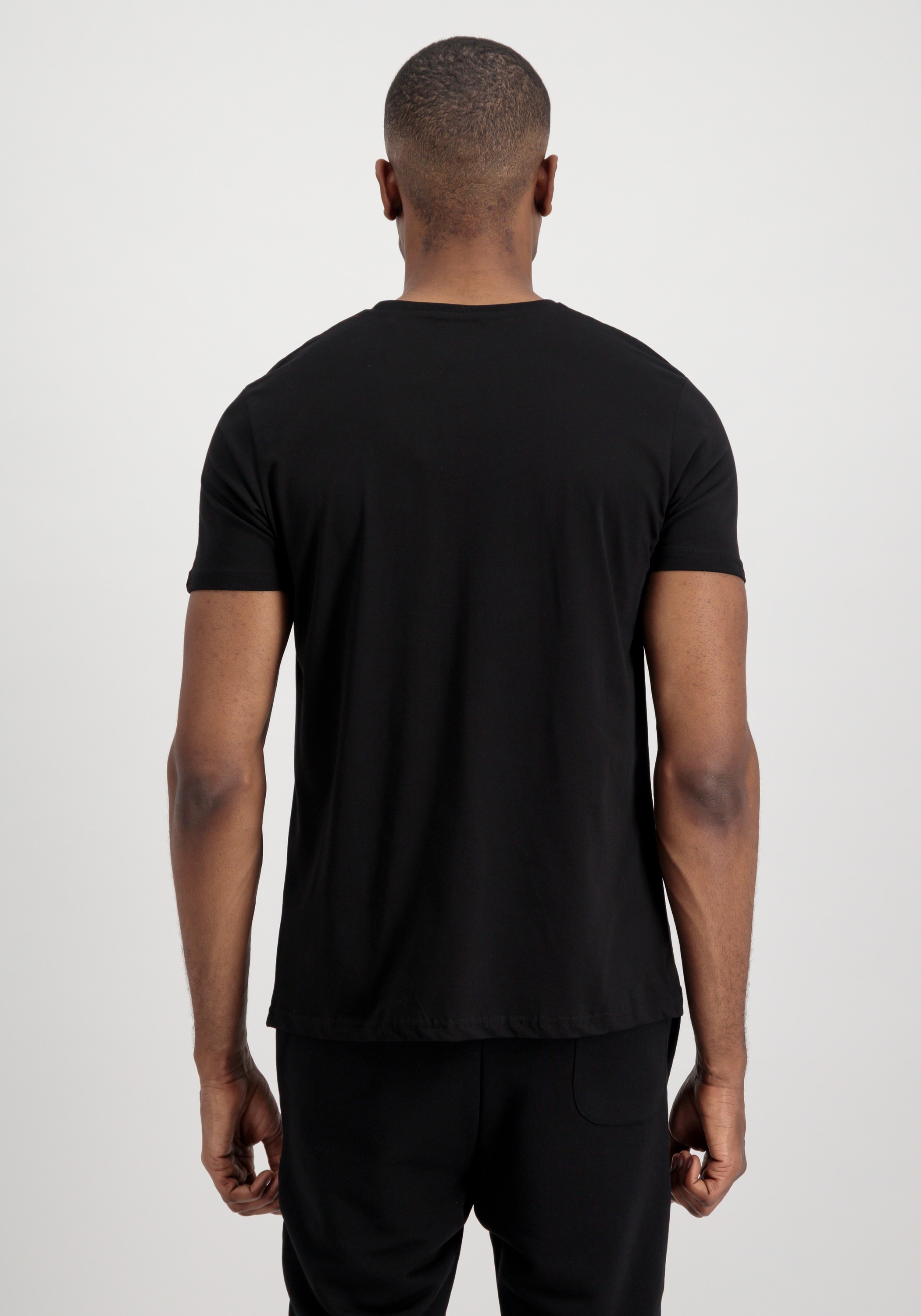 Alpha Industries T-Shirt »Alpha Label T-Shirt 2 Pack«