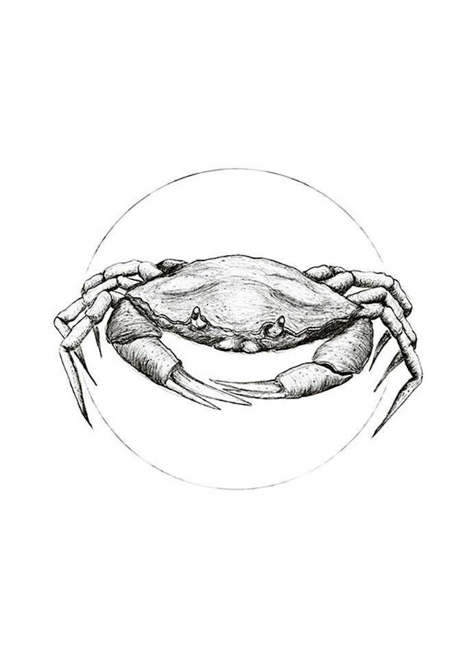 St.), Komar »Crab Poster im White«, Tiere, Shop Schlafzimmer, Online Wohnzimmer (1 OTTO Kinderzimmer,