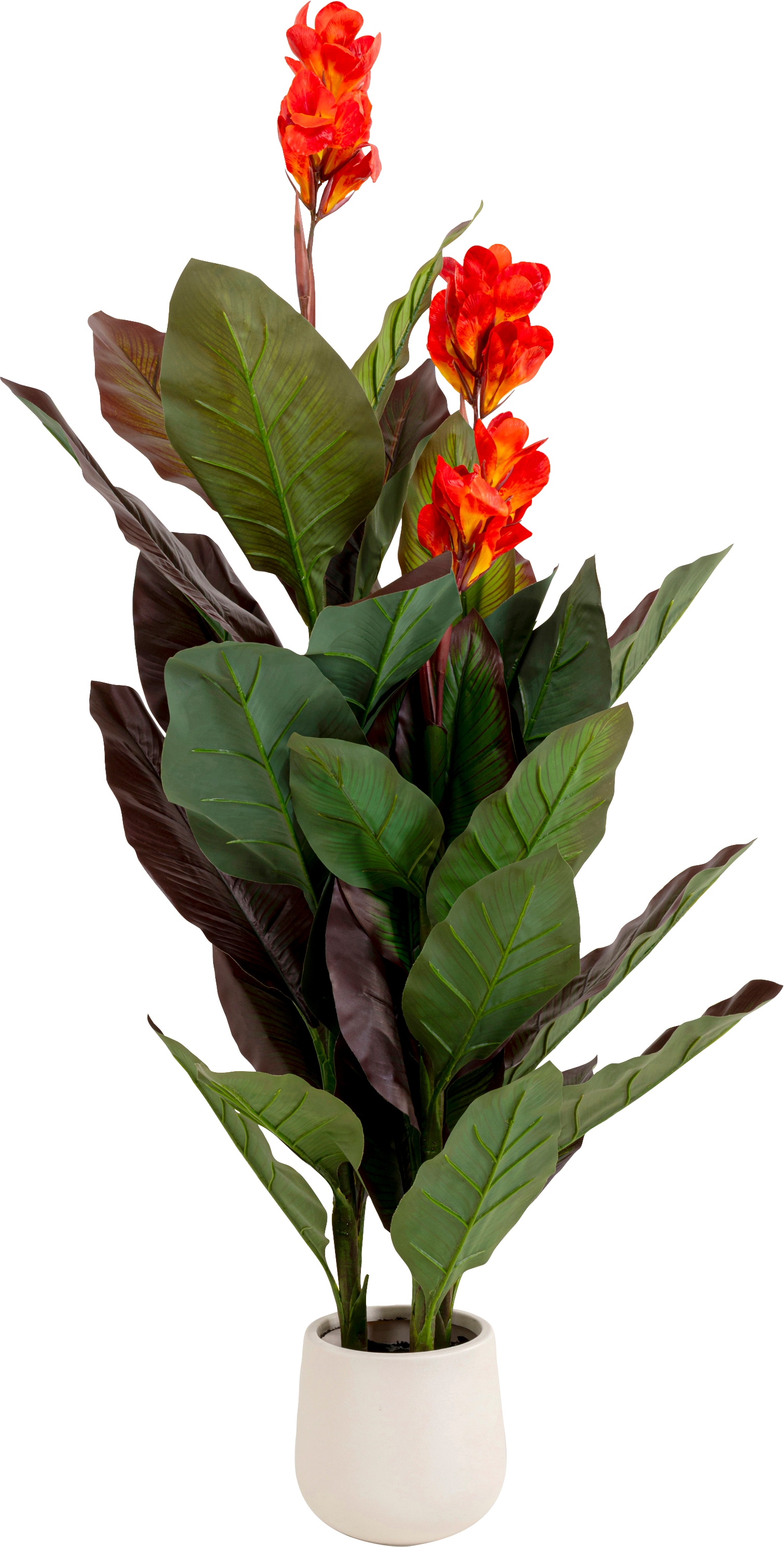 Kare Design Künstliche Zimmerpflanze »Deko-Pflanze Canna Lily« 115 oder 165 cm Höhe