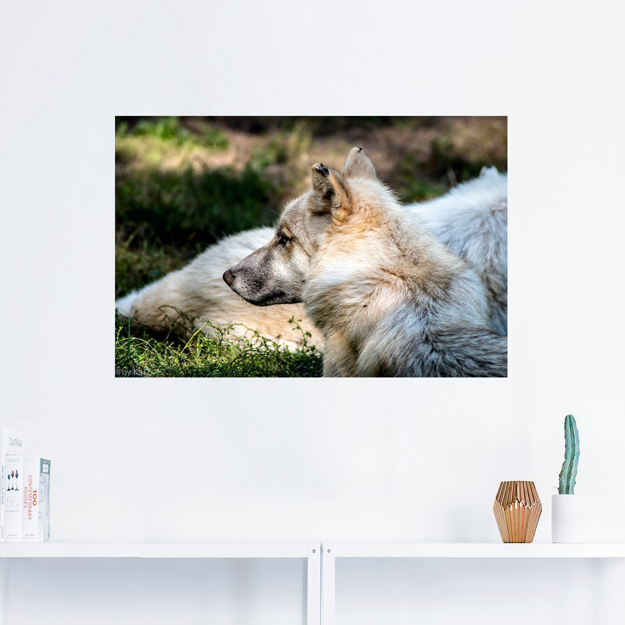 Artland Wandbild »Blick in die Ferne«, Wolfbilder, (1 St.), als Alubild, Leinwandbild, Wandaufkleber oder Poster in versch. Größen