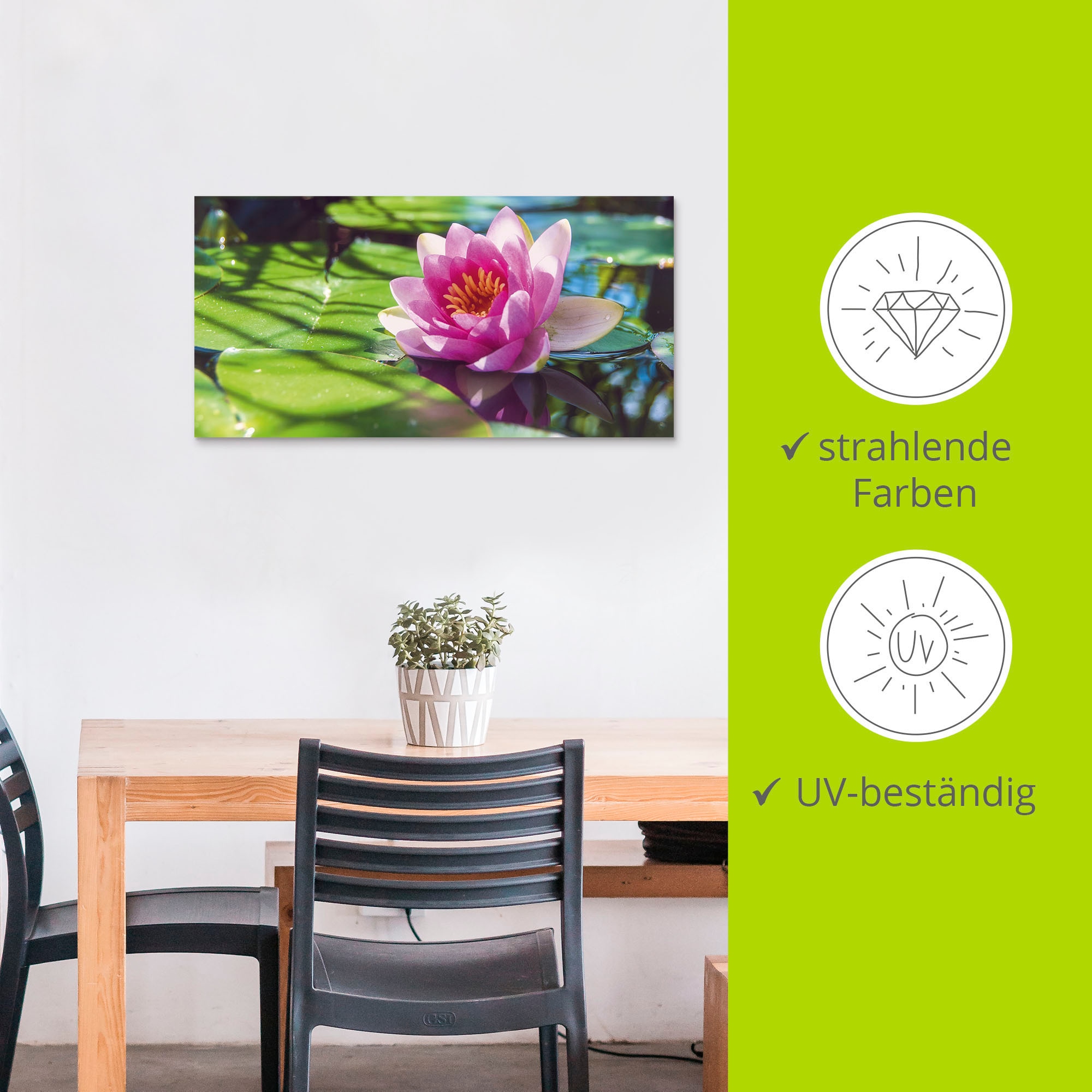 Artland Alu-Dibond-Druck »Seerose Nahaufnahme« Blumenbilder 1 Stk. tlg. für Innen- und Außenbereich geeignet, Outdoorbild