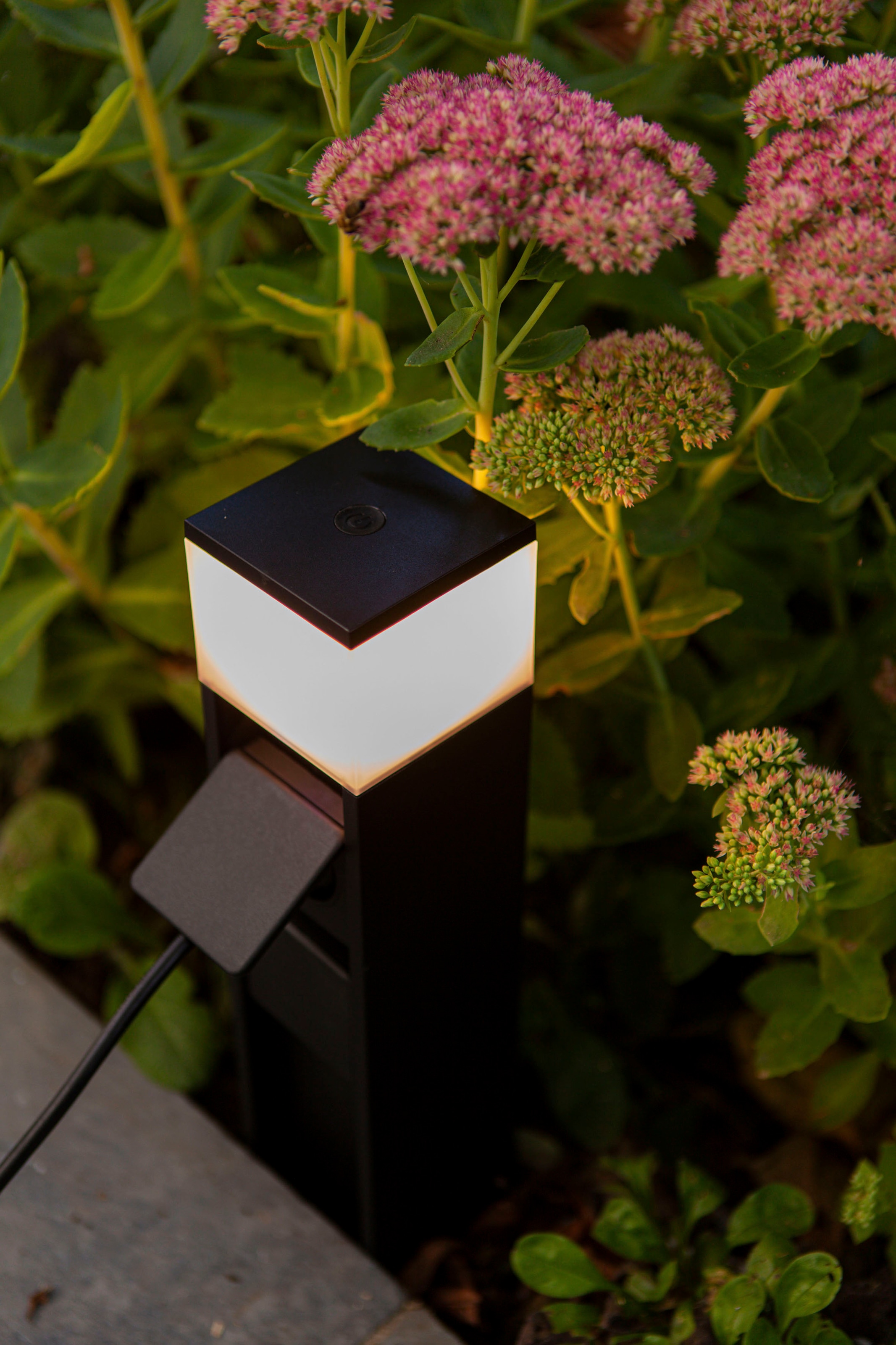LUTEC Smarte LED-Leuchte bei OTTO Smart-Home online »MAINS«