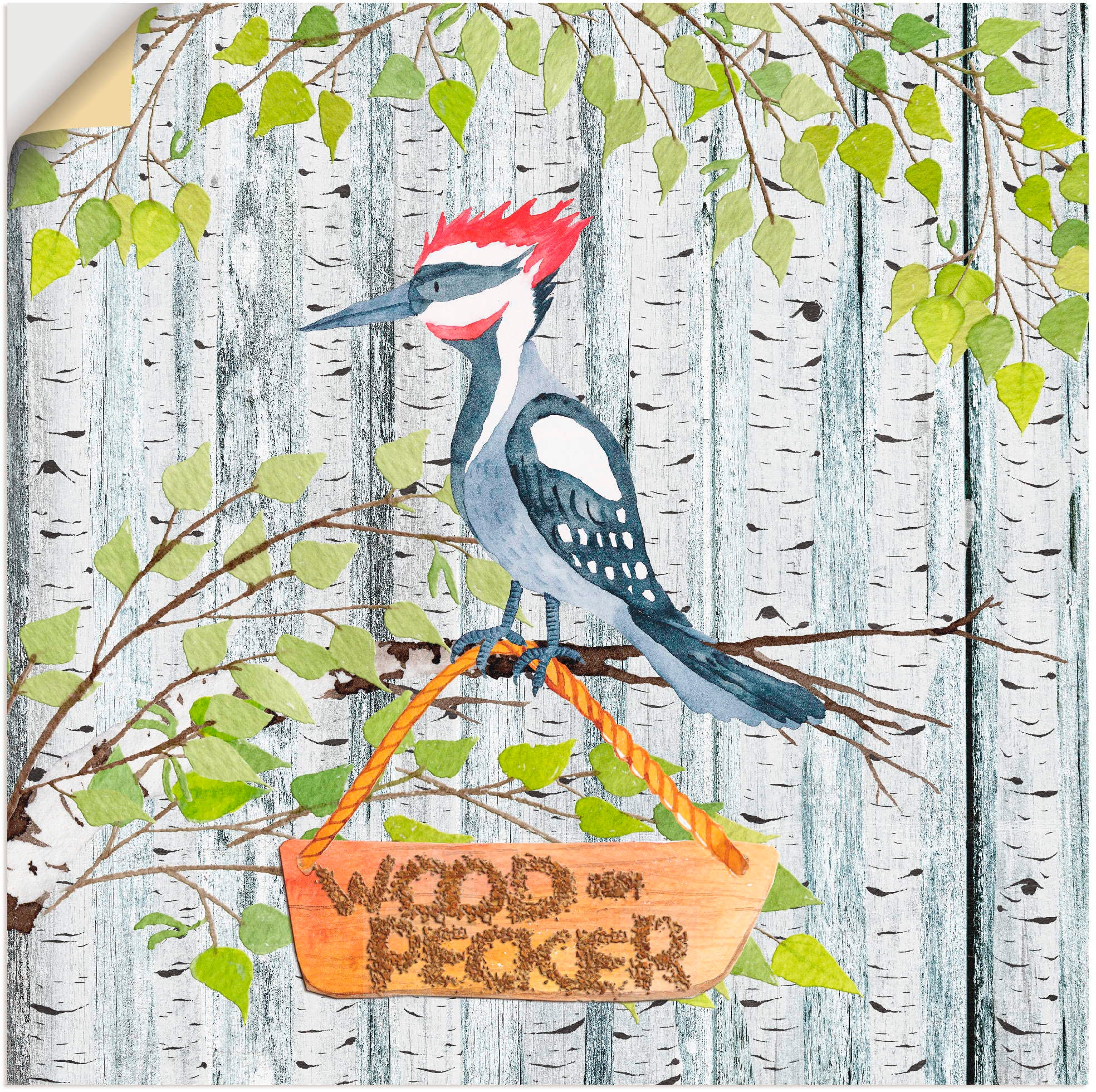 Artland Wandbild »Waldfreunde- der laute Specht«, Tiere, (1 St.), in vielen Größen & Produktarten - Alubild / Outdoorbild für den Außenbereich, Leinwandbild, Poster, Wandaufkleber / Wandtattoo auch für Badezimmer geeignet