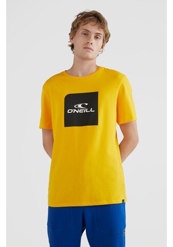 O'Neill T-Shirt »CUBE T-SHIRT - PO - FW22« kaufen