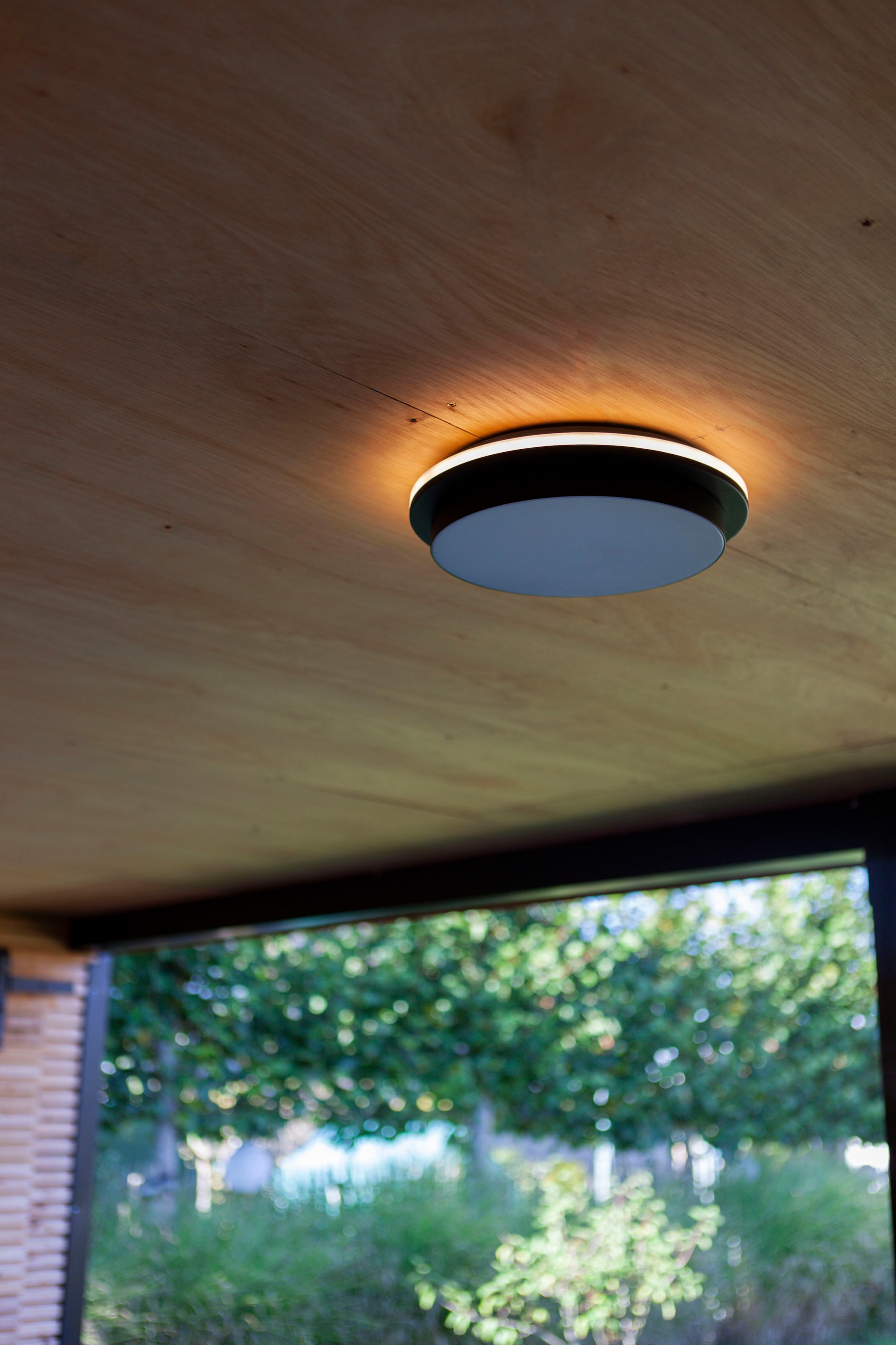LUTEC LED Außen-Deckenleuchte »GOLETA«, Leuchtmittel LED-Modul | LED fest integriert