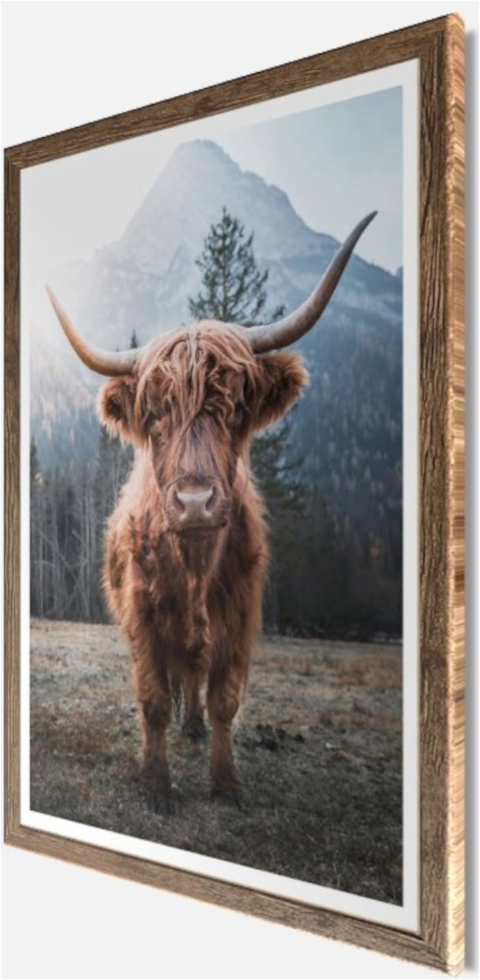 Bönninghoff Bild mit Rahmen »Wandbild gerahmt HOCHLANDRIND 50x70 cm – Rustikale Tierdeko aus den« Berge | Hochlandrind | Landschaft | Natur | Tiere 1 Stk. tlg. mit dekorativem Rahmen