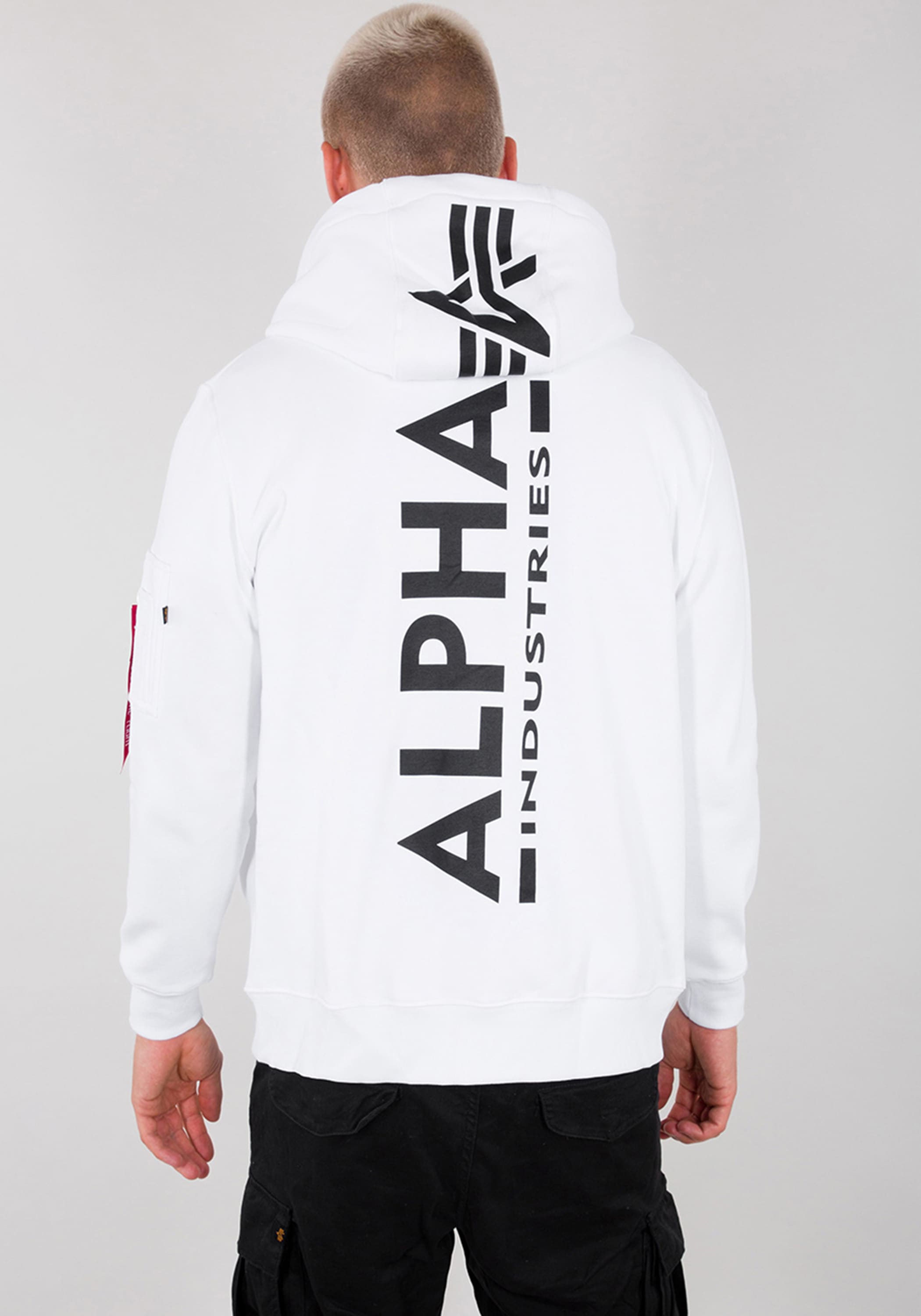 Alpha Industries Hoodie »Backprint Zip Hoodie«
