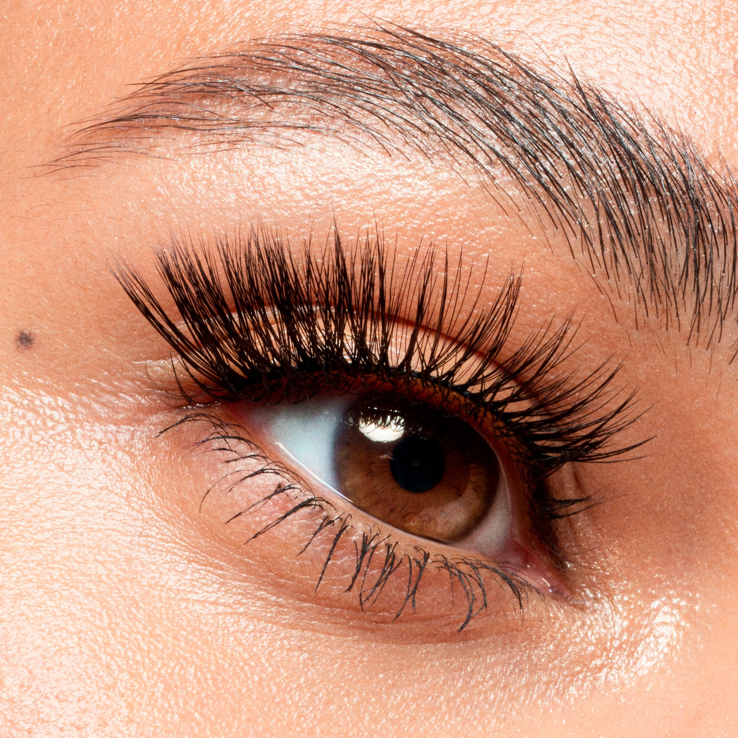 Catrice Bandwimpern »Faked 3/4 Pre-Cut Lashes«, (Set, 3 tlg.), mit natürlichem Effekt