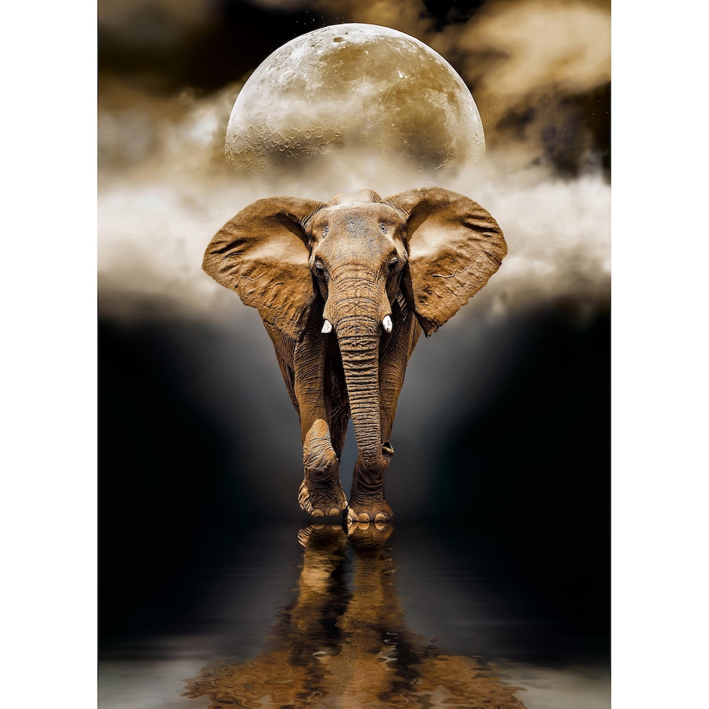 Clementoni® Puzzle »High Quality Collection, Der Elefant«