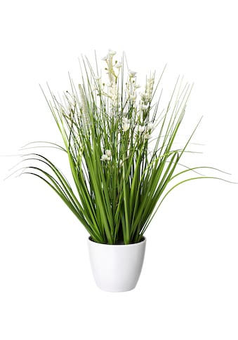 Creativ green Kunstgras »Blüten-Gras-Mix«, (1 St.), in weißer Kunststoffschale kaufen