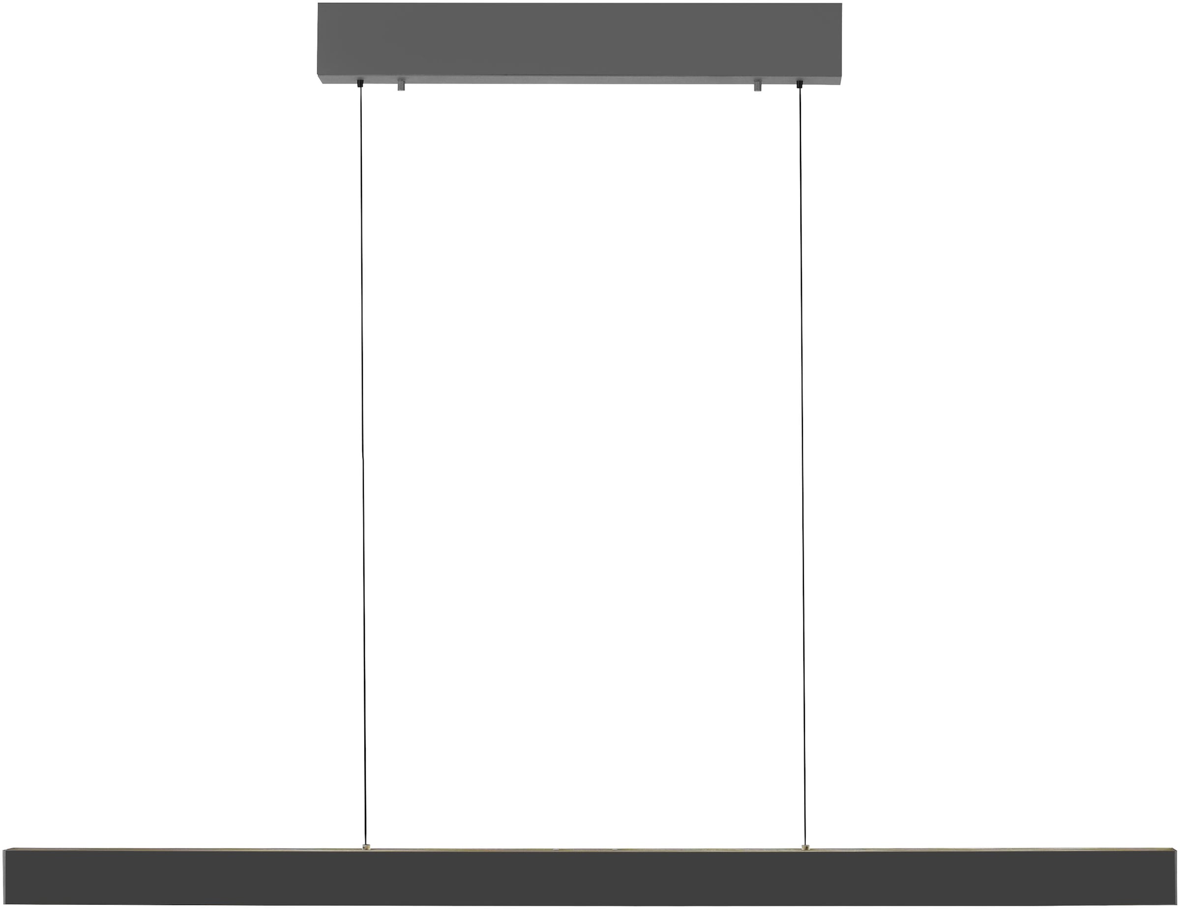 Paul Neuhaus LED Pendelleuchte »Adriana Square« LED-Board 1 Stk. warmweiß - kaltweiß Touchdimmer, CCT 2700-5000K, getrennt schaltbar, Memory, Comfort -Lift
