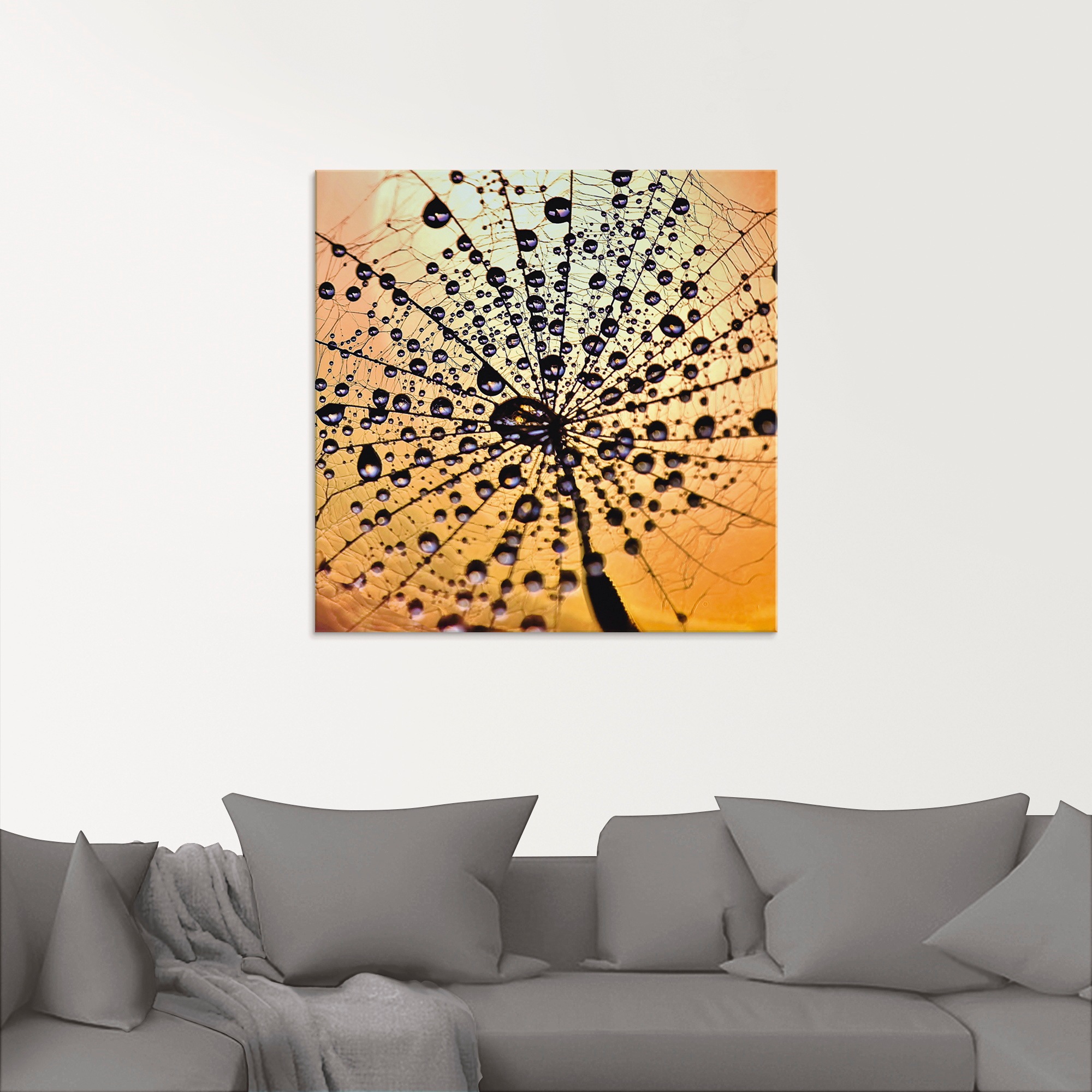 Artland Glasbild »Pusteblume Tröpfchenfang«, Blumen, (1 St.), in verschiedenen Größen