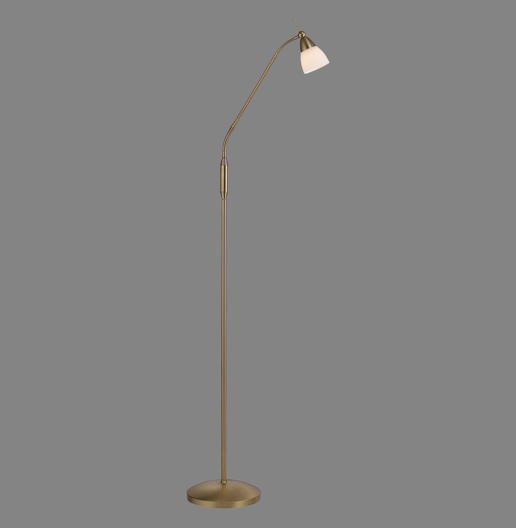 Paul Neuhaus Stehlampe »PINO«, 1 flammig, Leuchtmittel G9 | LED wechselbar