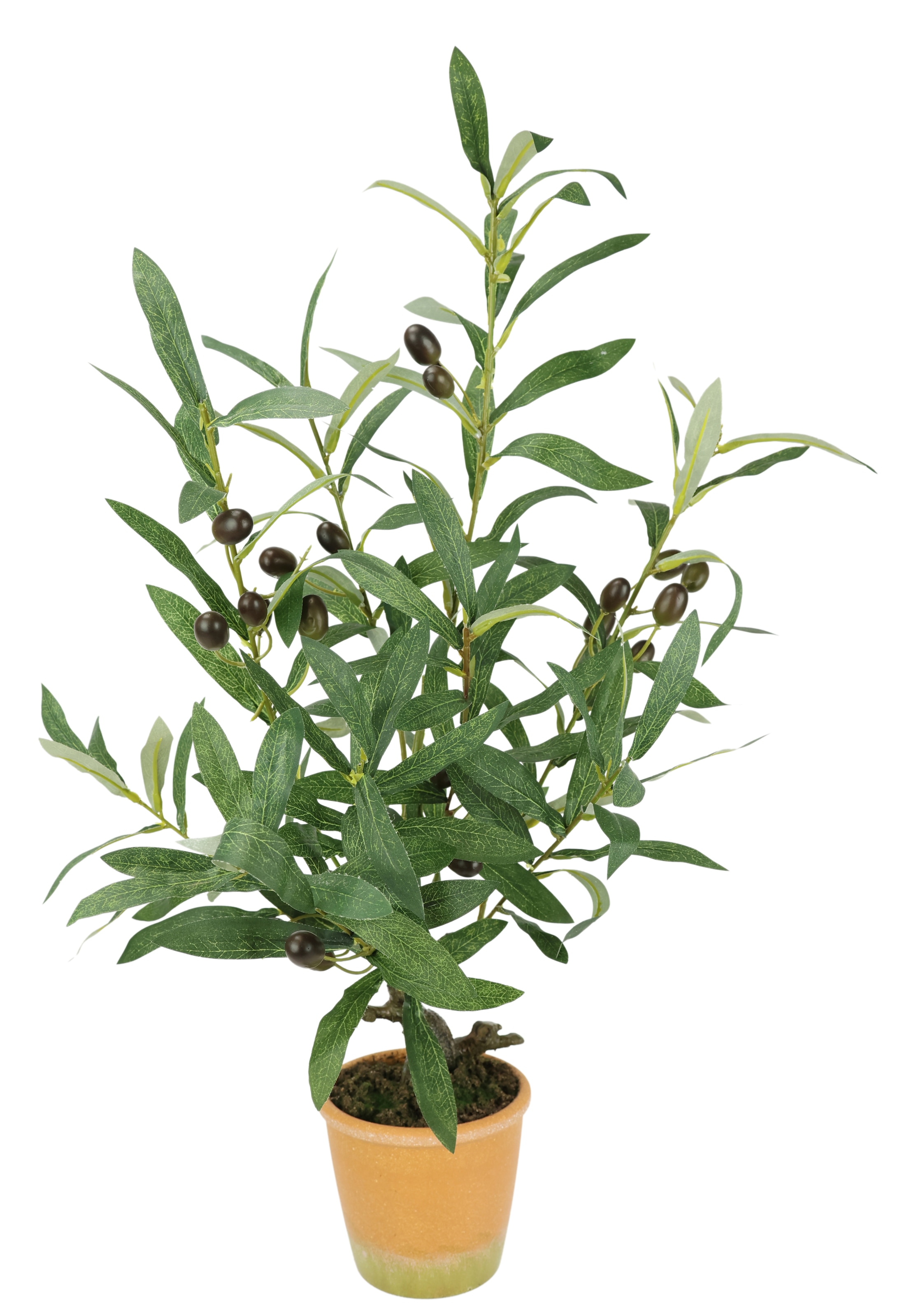 I.GE.A. Kunstpflanze »Künstlicher Olivenbaum mit schwarzen Früchten« Olive Mediterran Ölbaum Grünpflanze Kunstbaum Dekobaum Baum