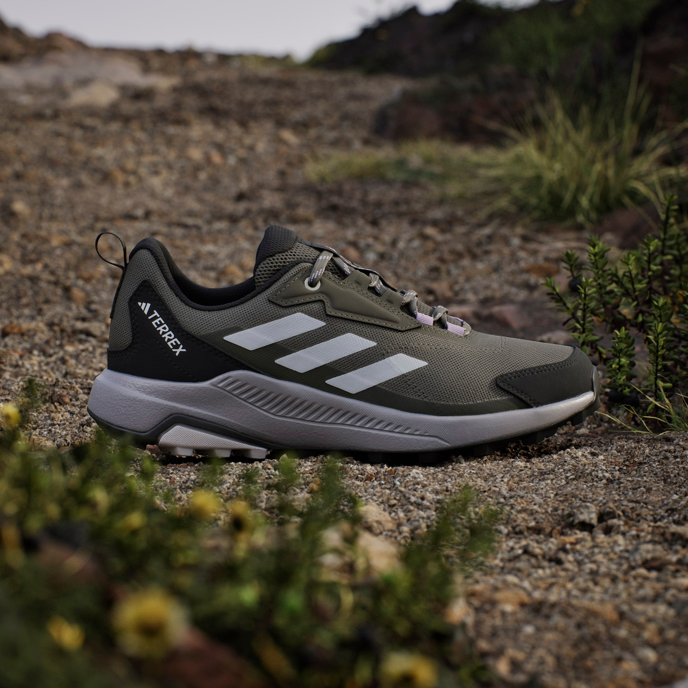 adidas TERREX Wanderschuh »TERREX ANYLANDER«