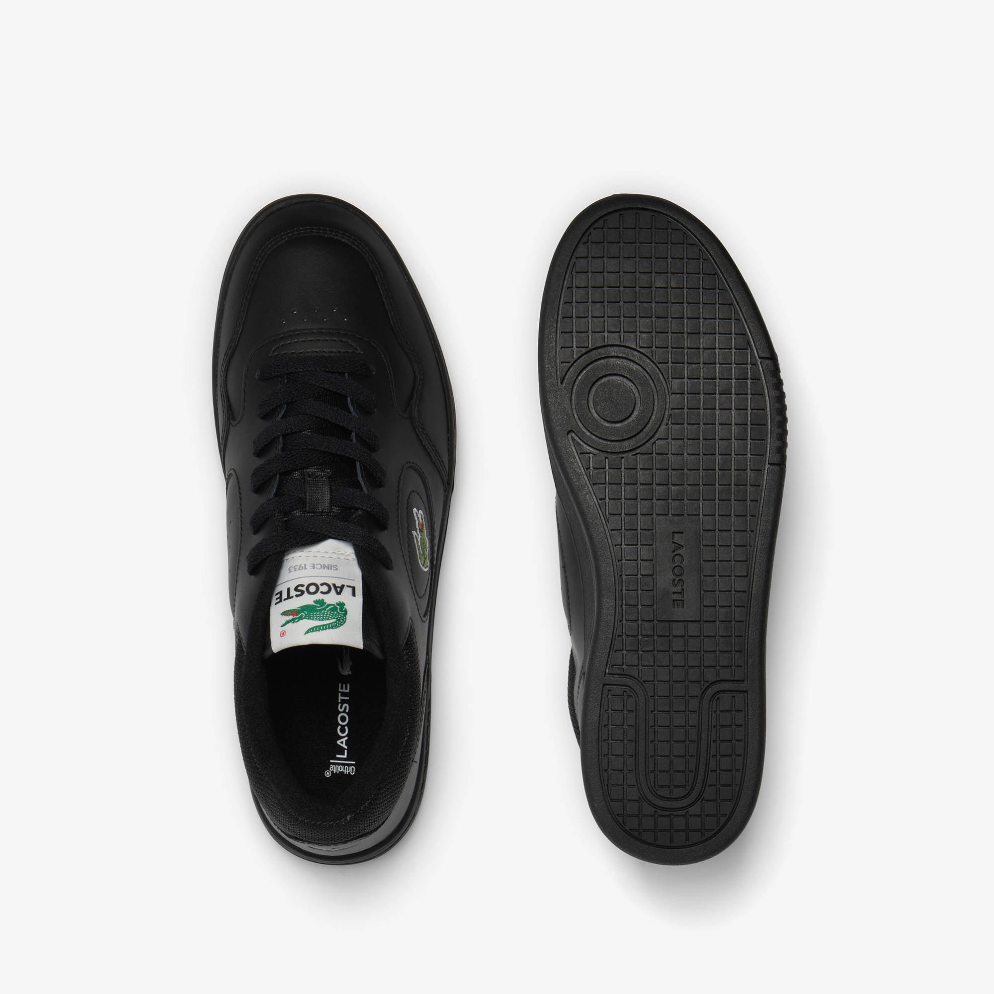 Lacoste Sneaker »LINESET 223 1 SMA«