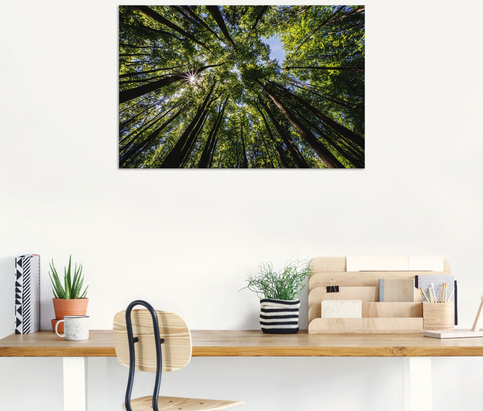Artland Wandbild »Bäume von unten im Sommer«, Baumbilder, (1 St.), als  Alubild, Leinwandbild, Wandaufkleber oder Poster in versch. Größen kaufen  im OTTO Online Shop