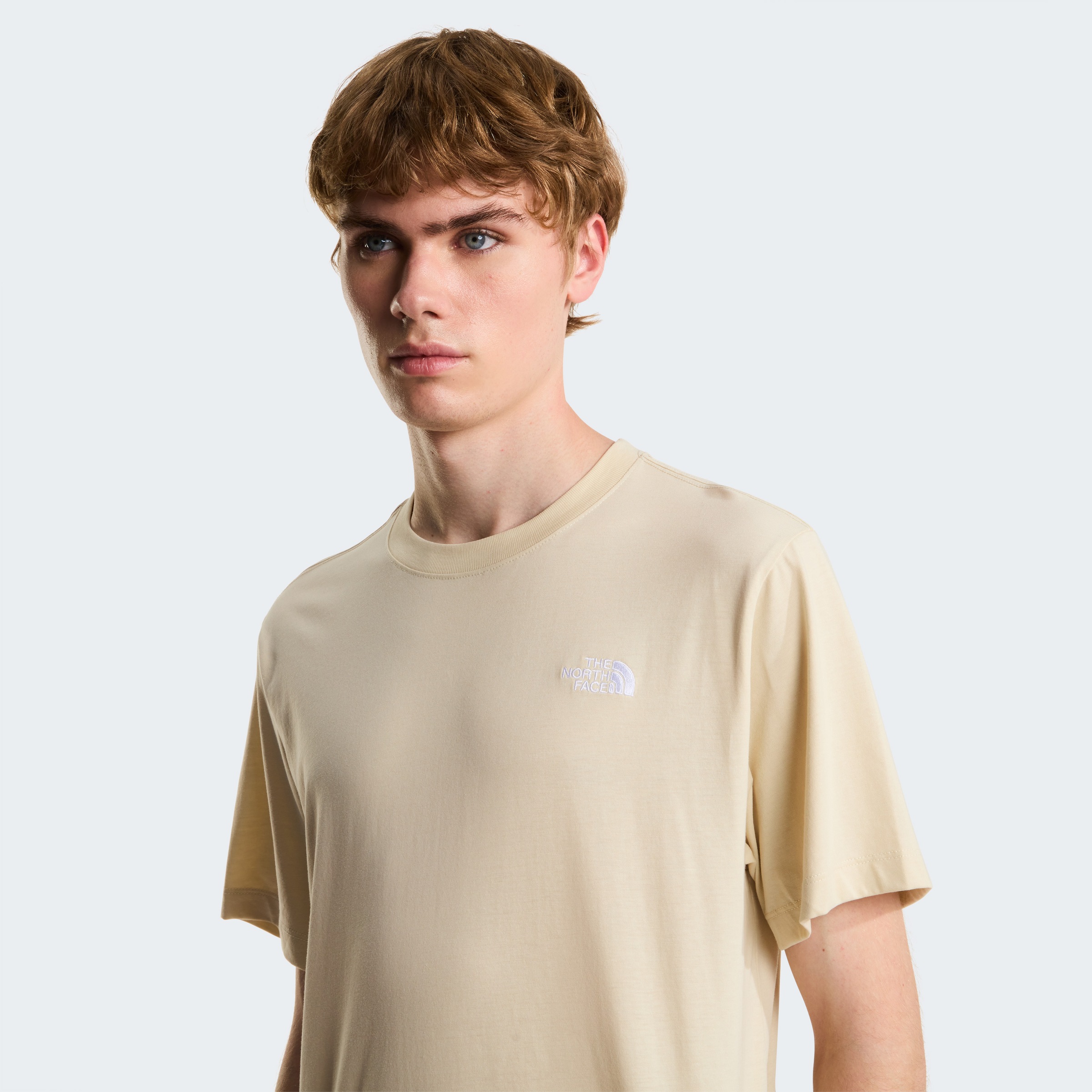 The North Face T-Shirt »M EVOLUTION SIMPLE DOME REGULAR SHORT SL«