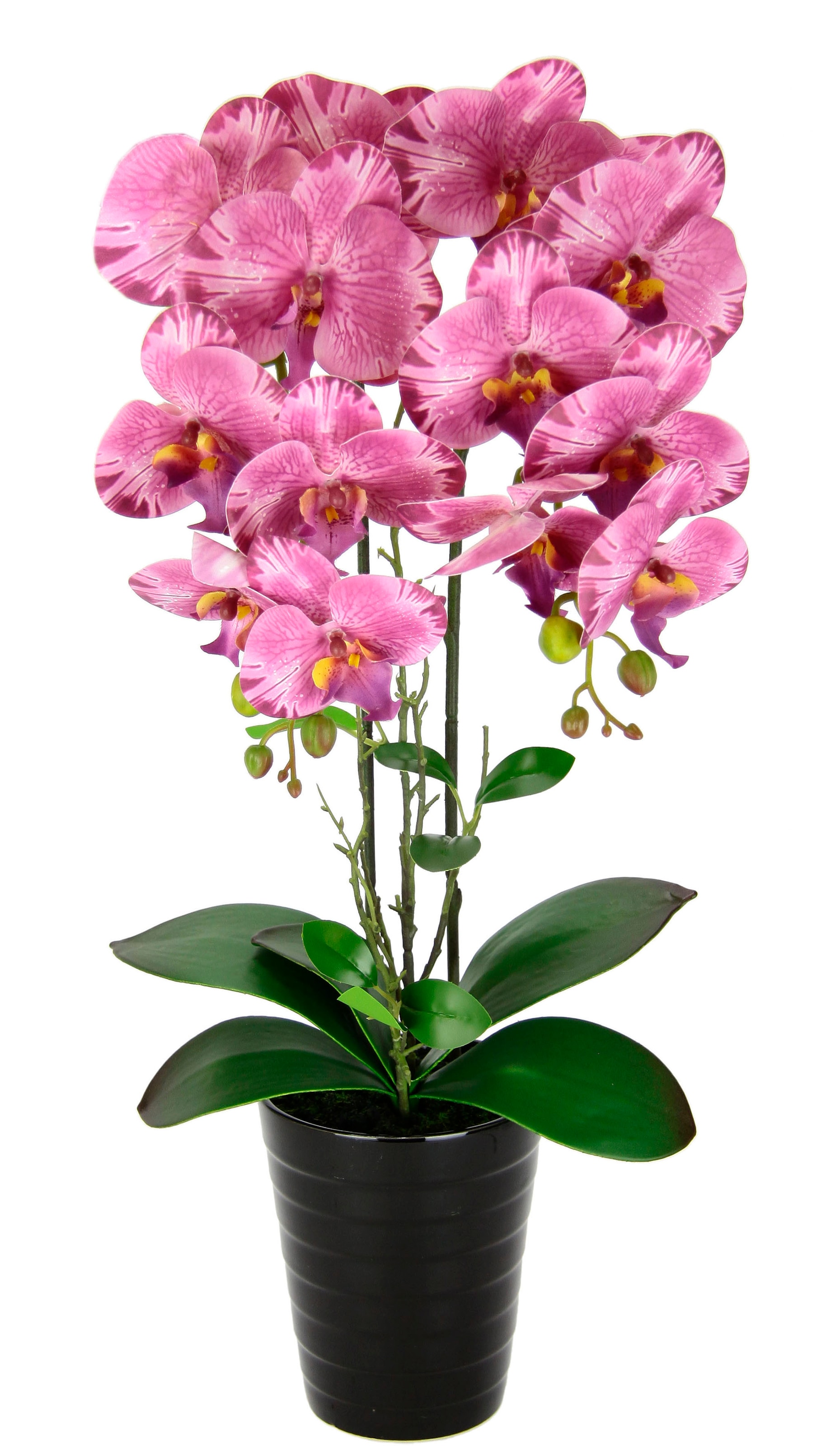 I.GE.A. Kunstblume »Orchidee«, Online Phalaenopsis Topf kaufen Übertopf Phalaenopsis Orchidee OTTO Im im Hochzeit mit Shop