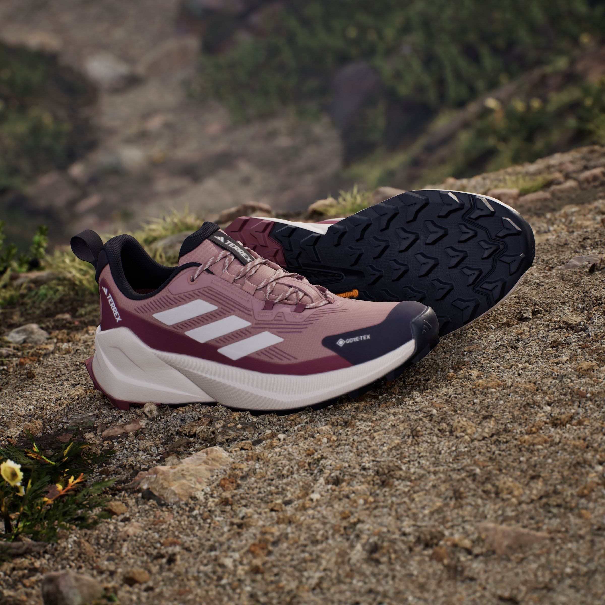 adidas TERREX Wanderschuh, wasserdicht