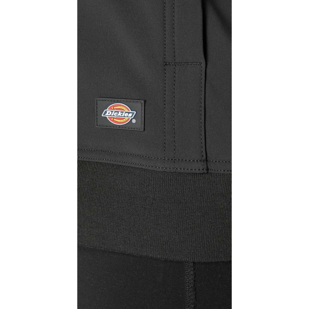 Dickies Kapuzensweatshirt