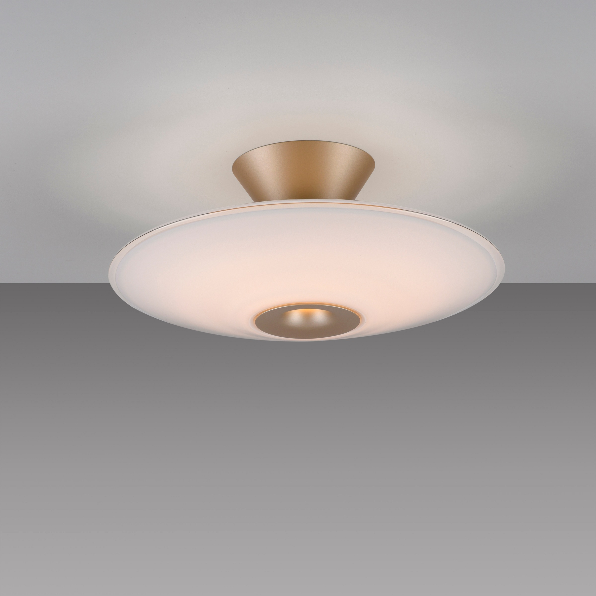 Paul Neuhaus LED Deckenleuchte »ELIPSA« LED-Board 1 Stk. Warmweiß Dimmfähig über separaten Tronicdimmer, Opalglas