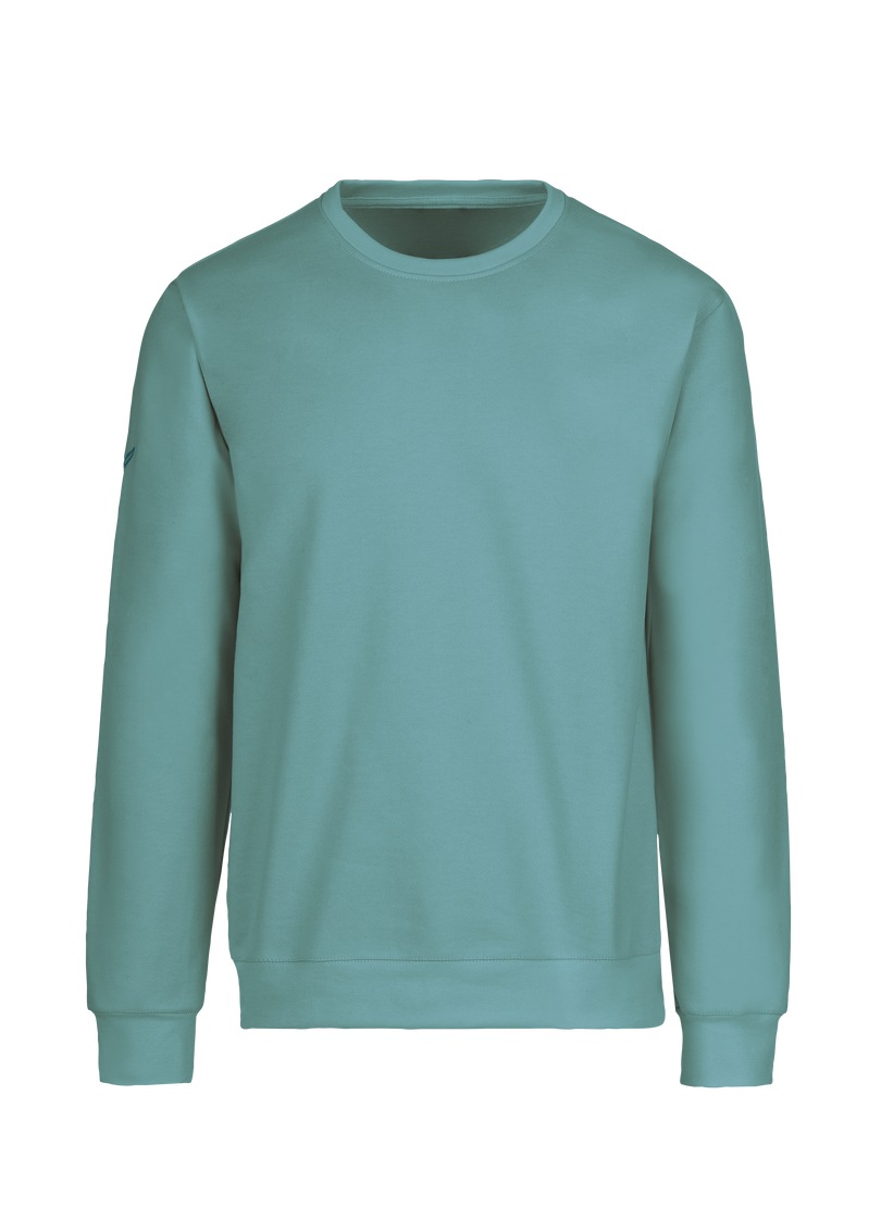 Trigema Sweatshirt »TRIGEMA Sweatshirt« bei OTTOversand