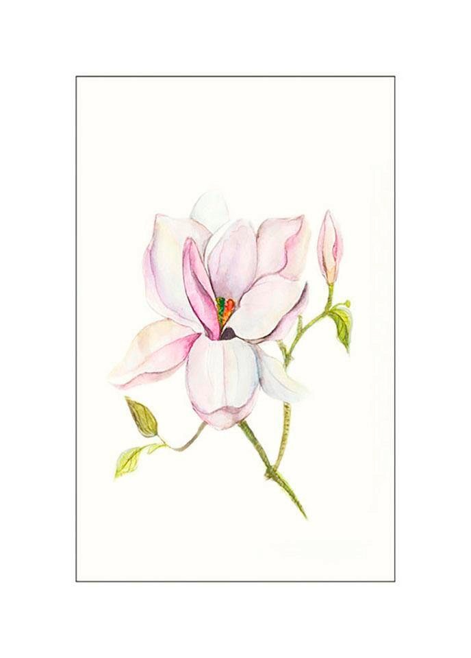 Komar Bild »Magnolia Shine«, Blumen, (1 St.), Wandbild zur Dekoration - ohne Rahmen