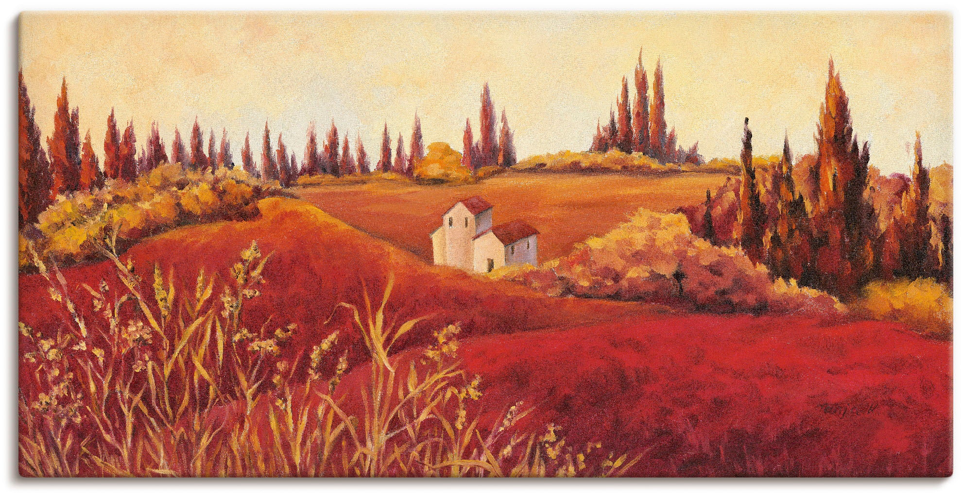 Alubild, »Rote versch. als in bestellen oder Poster online Wandbild Größen OTTO bei Artland Felder, Leinwandbild, (1 Wandaufkleber Felder«, St.),