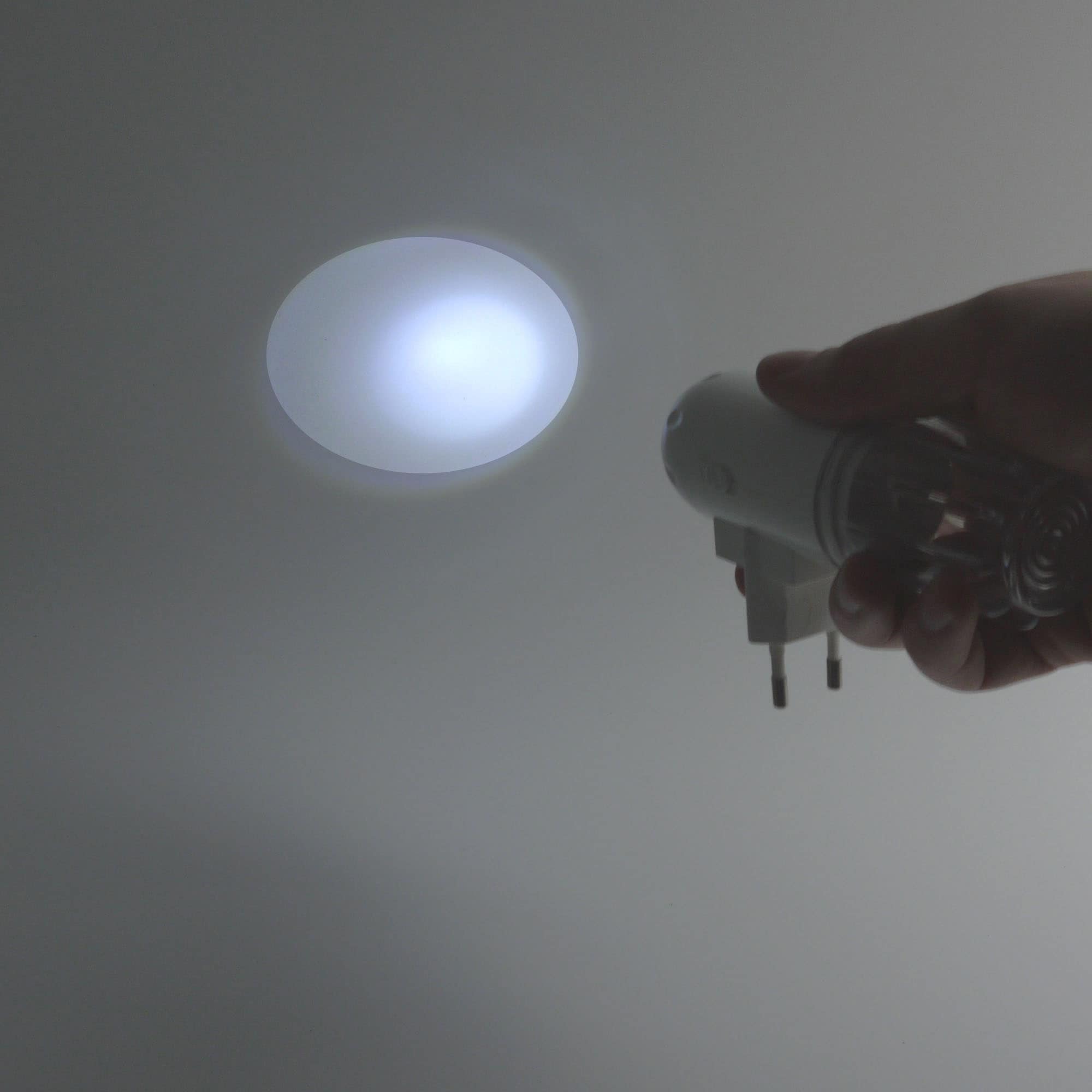 niermann LED Nachtlicht »Nachtlichter«, 1 flammig, Leuchtmittel LED-Modul | LED fest integriert, Stecker- Nachtlicht Oval mit Dämmerungssensor Set aus 2 Stück