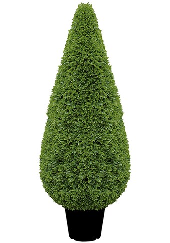 Fink Kunstpflanze »Buchsbaum Kegel, getopft«, (1 St.), 80 cm kaufen
