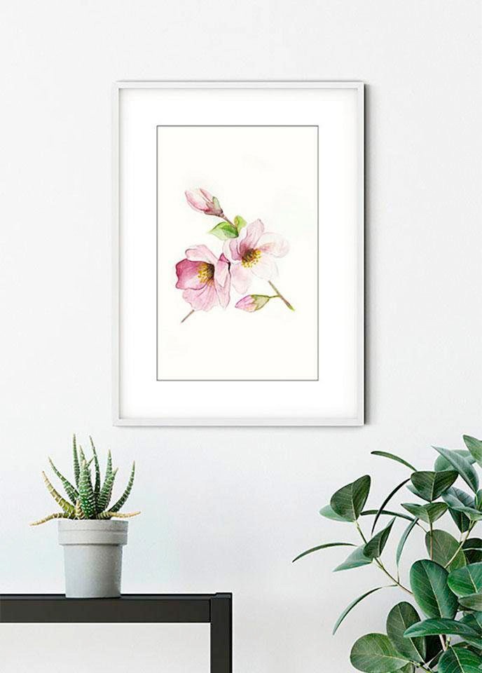 Komar Bild »Magnolia Breathe«, Blumen, (1 St.), Wandbild zur Dekoration - ohne Rahmen