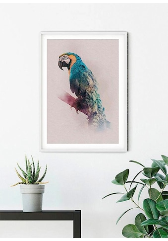 Poster »Animals Paradise Parrot«, Tiere, (1 St.)