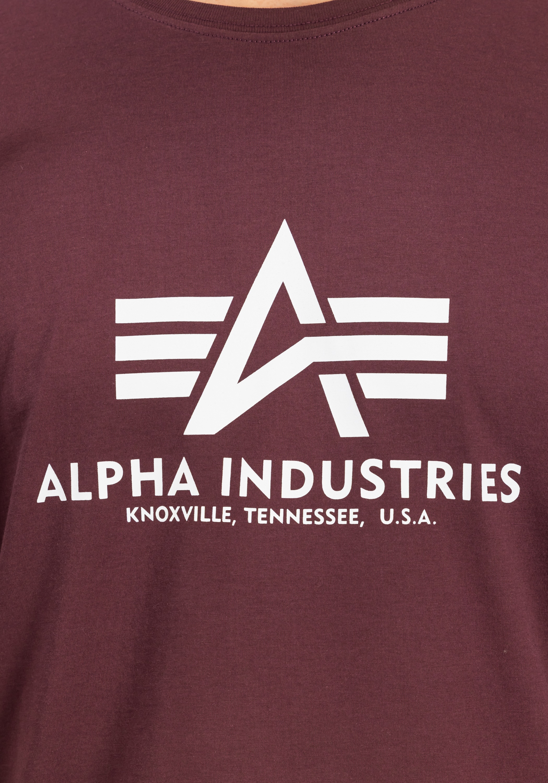 Alpha Industries T-Shirt »Basic T-Shirt BL T-Shirt«