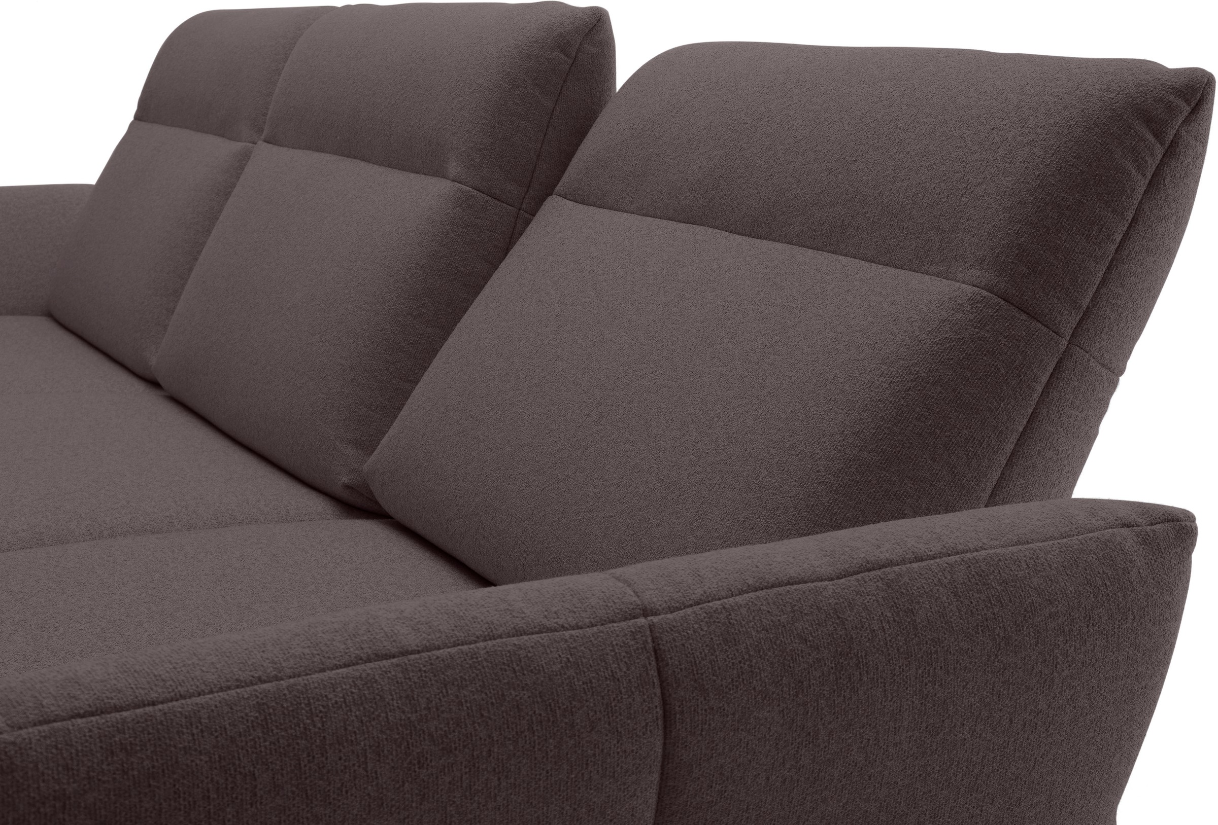 Creation BY ROLF BENZ Ecksofa »CR.460« Sockel in Eiche, Winkelfüße in Umbragrau, Breite 338 cm