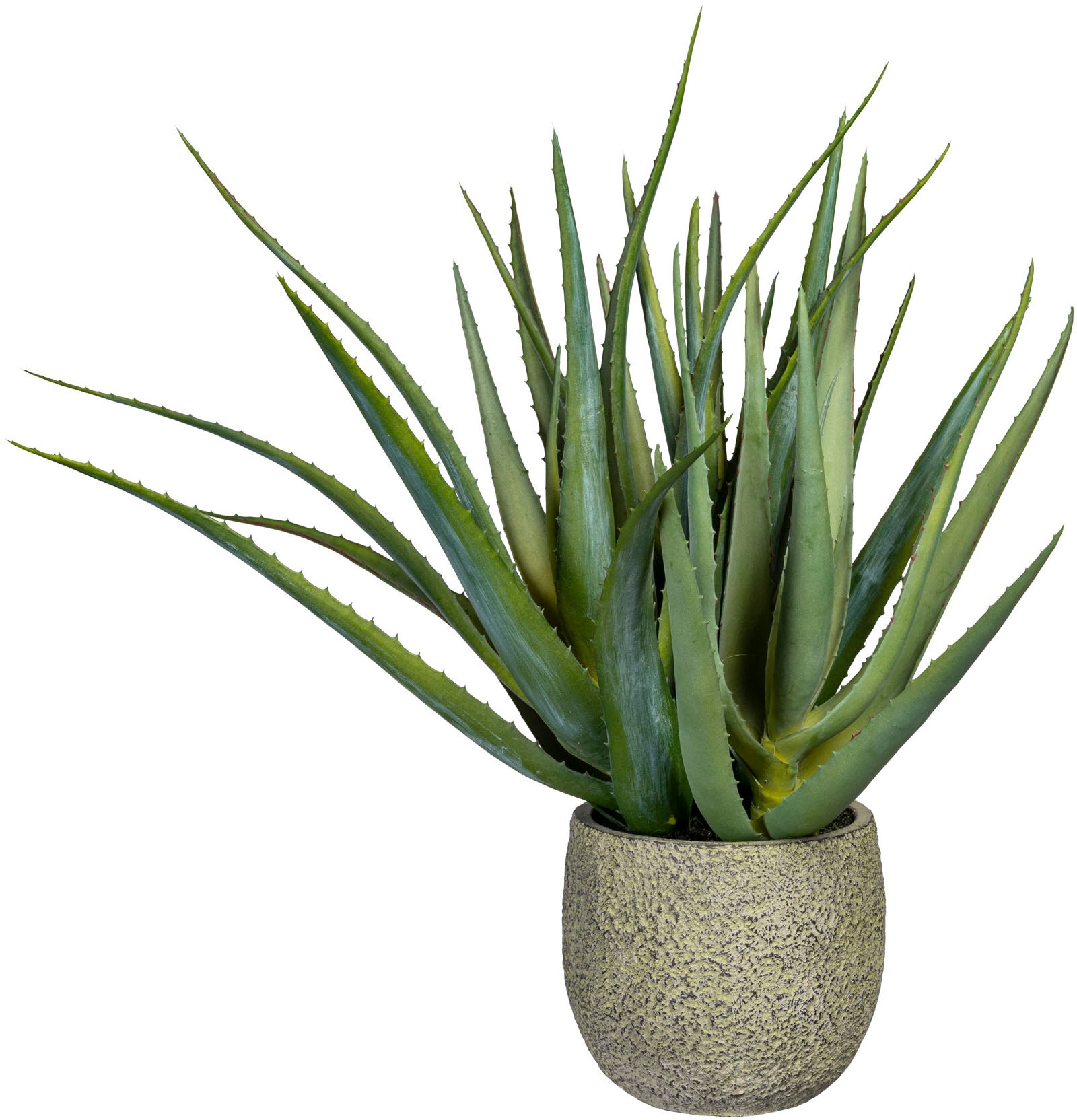 »Deko-Sukkulente OTTO Künstliche green Zimmerpflanze online Aloe« kaufen Creativ bei
