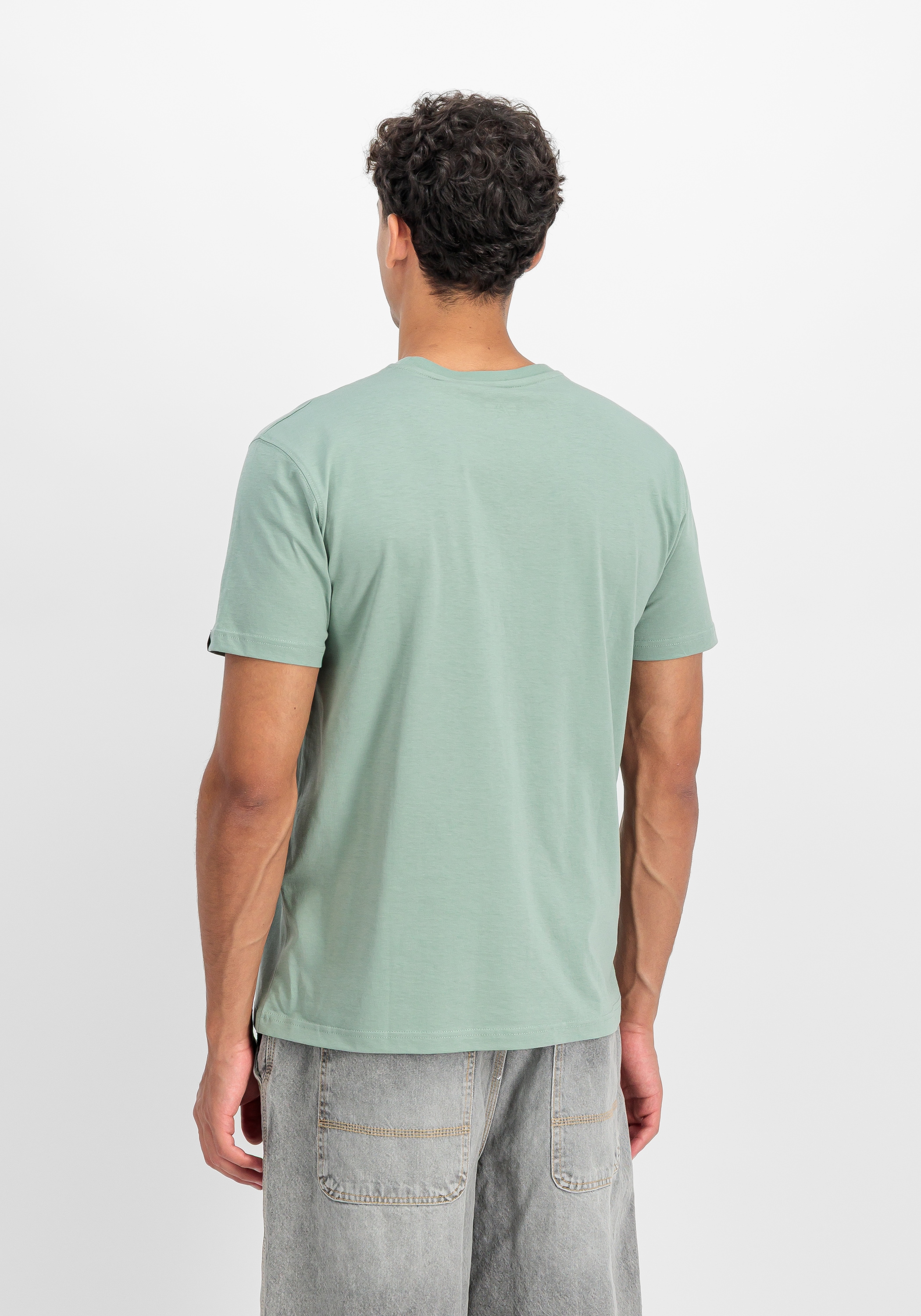 Alpha Industries T-Shirt »DTM Alpha T-Shirt«