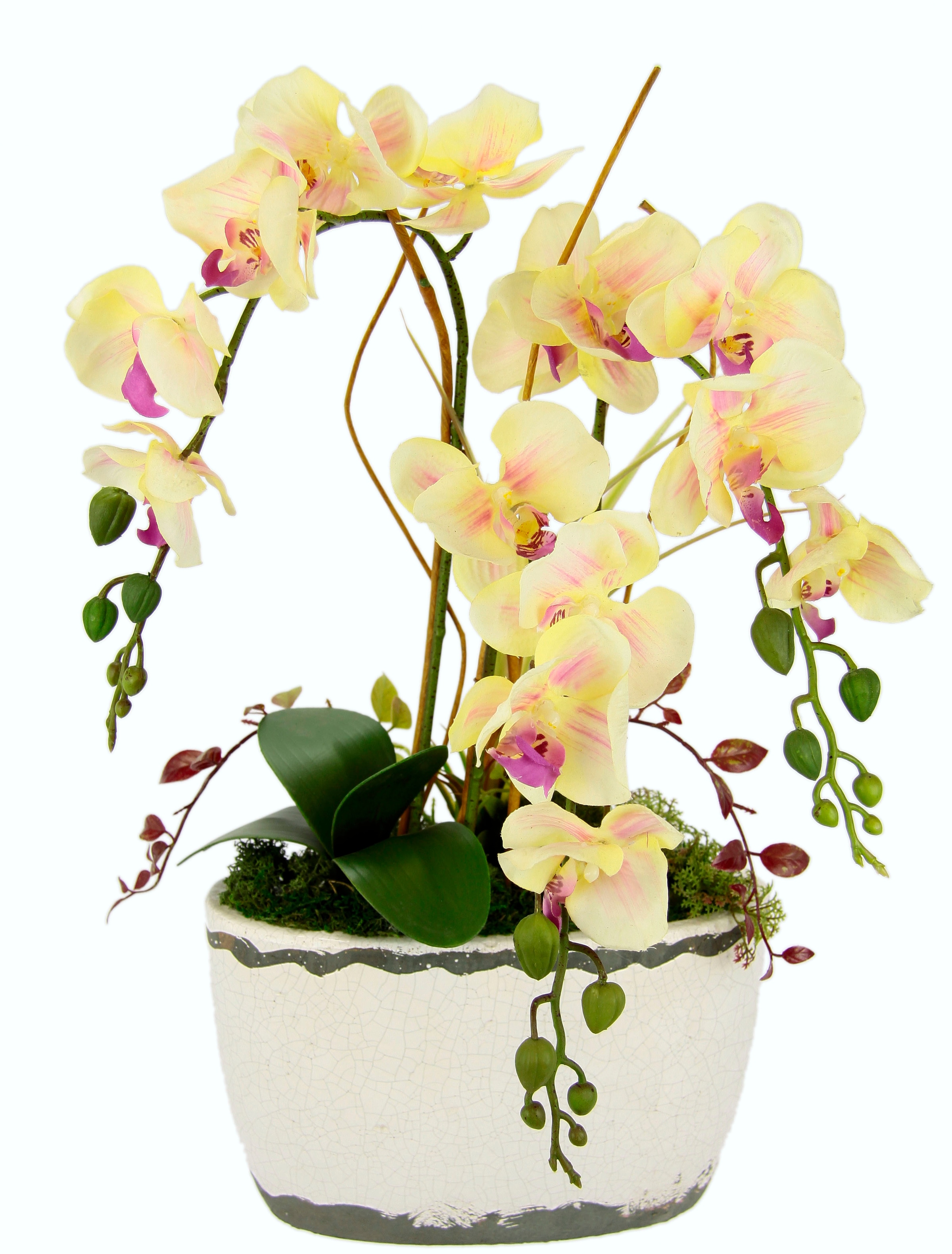 I.GE.A. Kunstblume »Orchidee«, (1 St.), in Antik-Schale aus Keramik bei OTTO